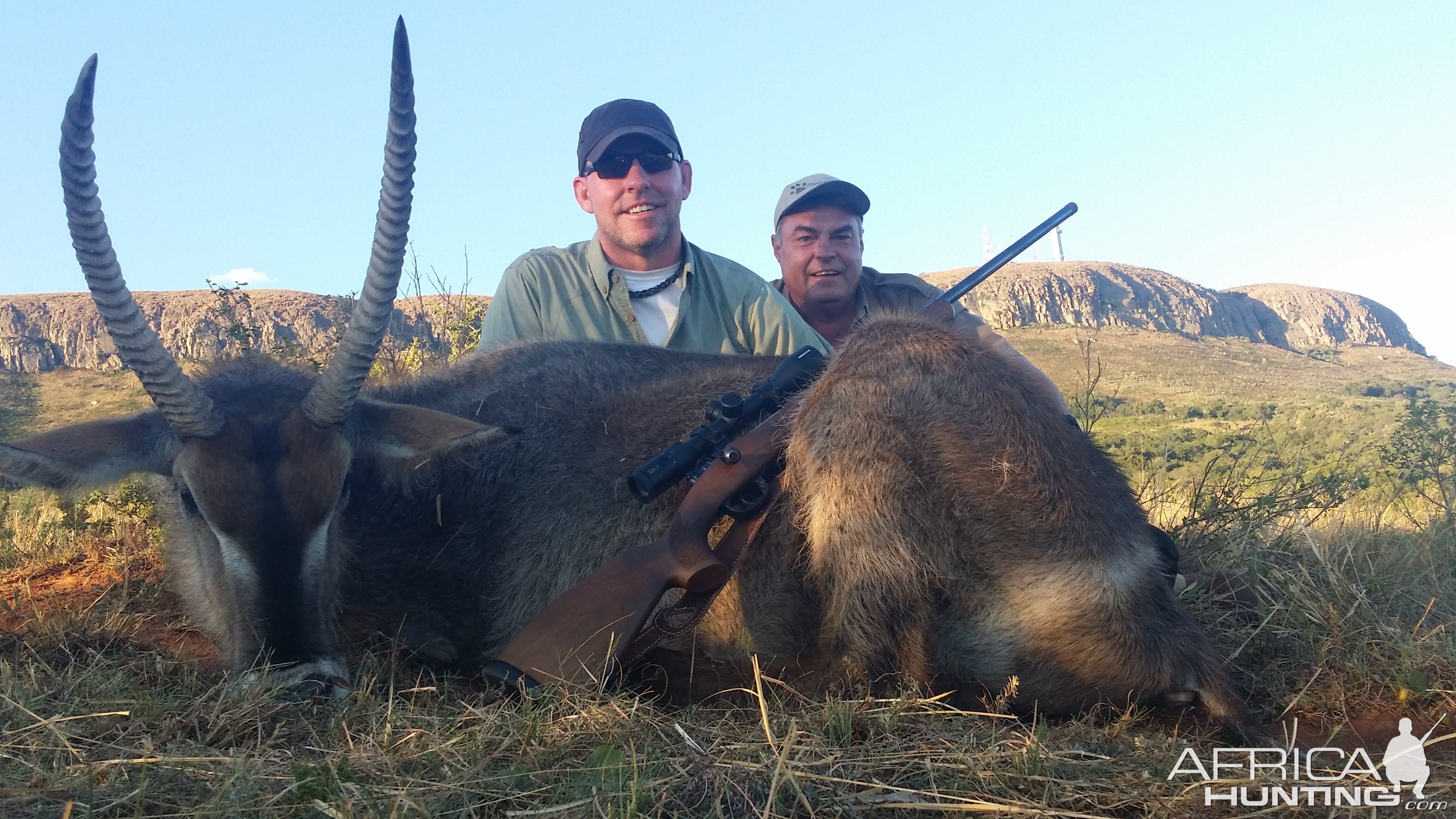 Waterbuck South Africa Hunt