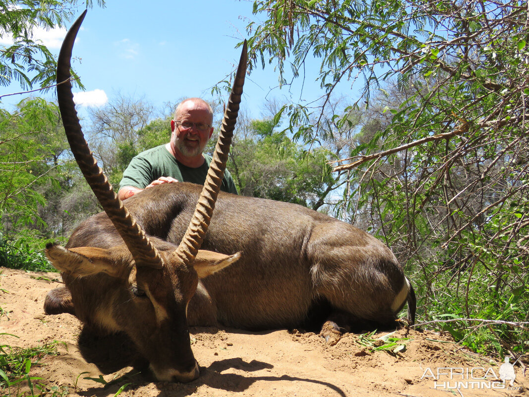 Waterbuck South Africa Hunt