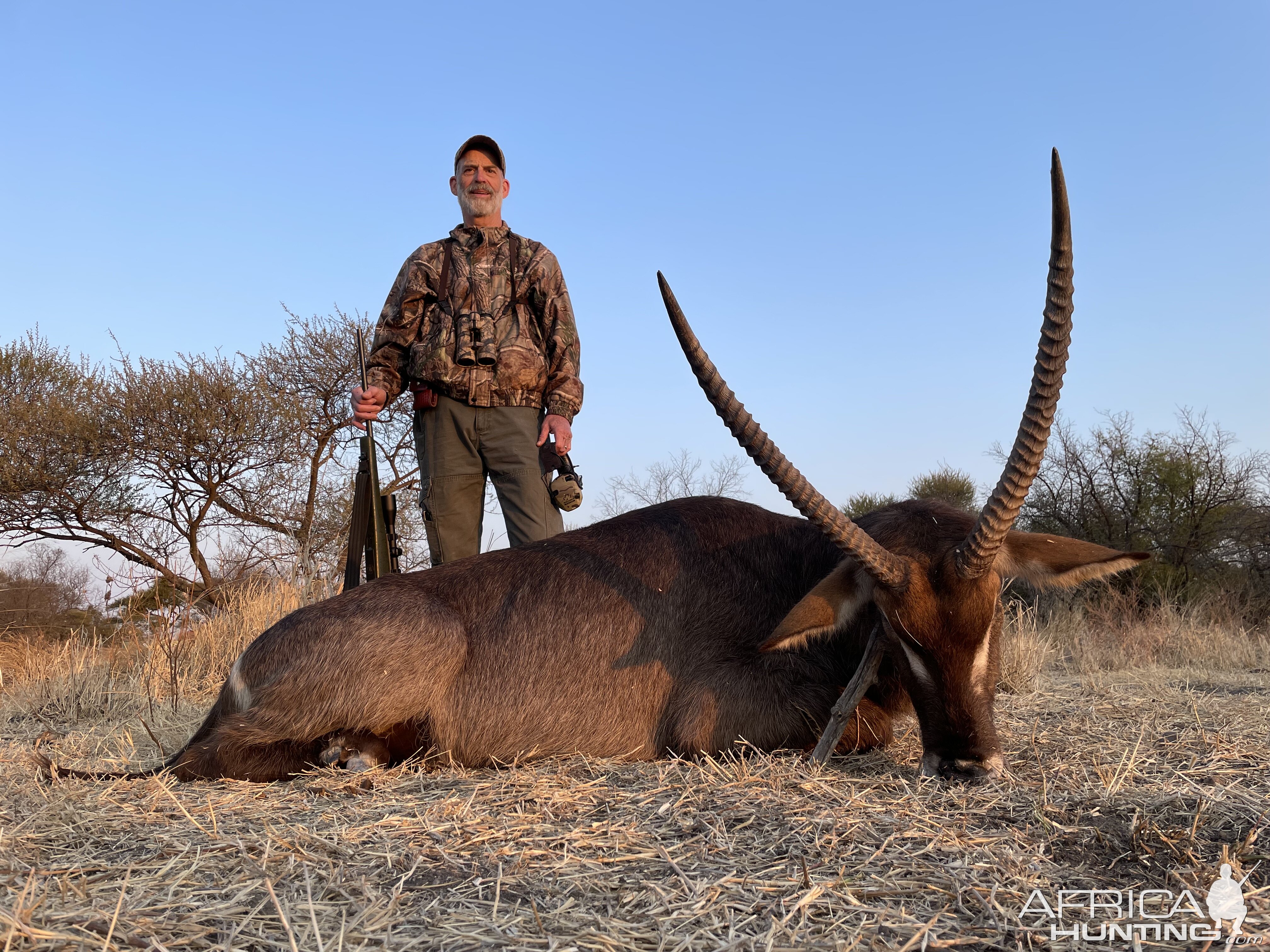 Waterbuck