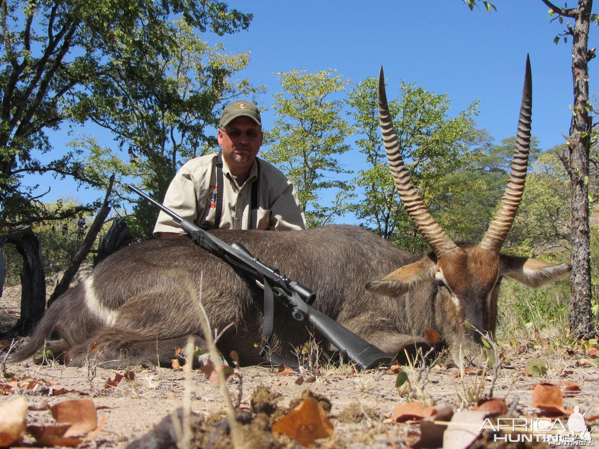 Waterbuck