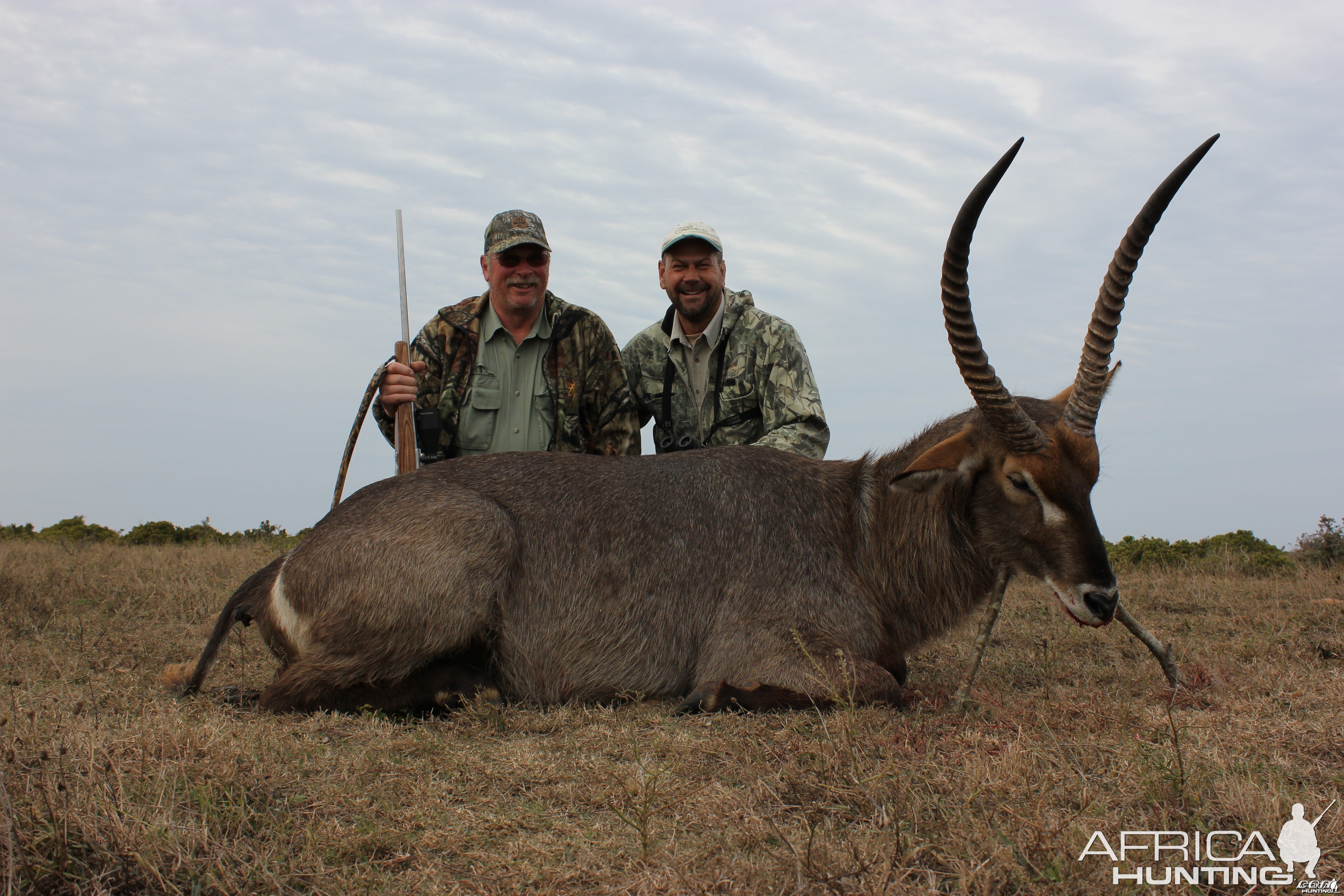 Waterbuck