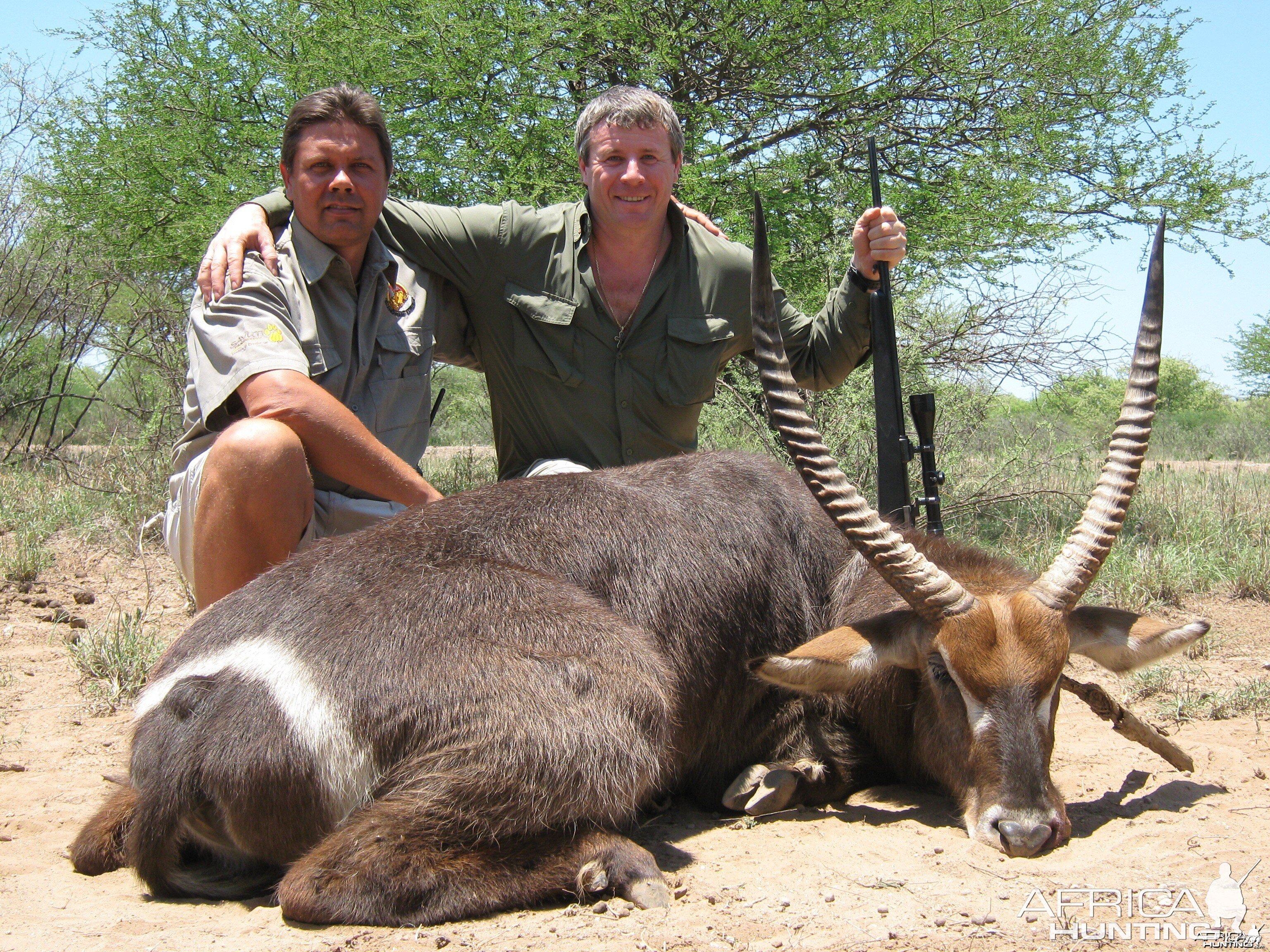 Waterbuck