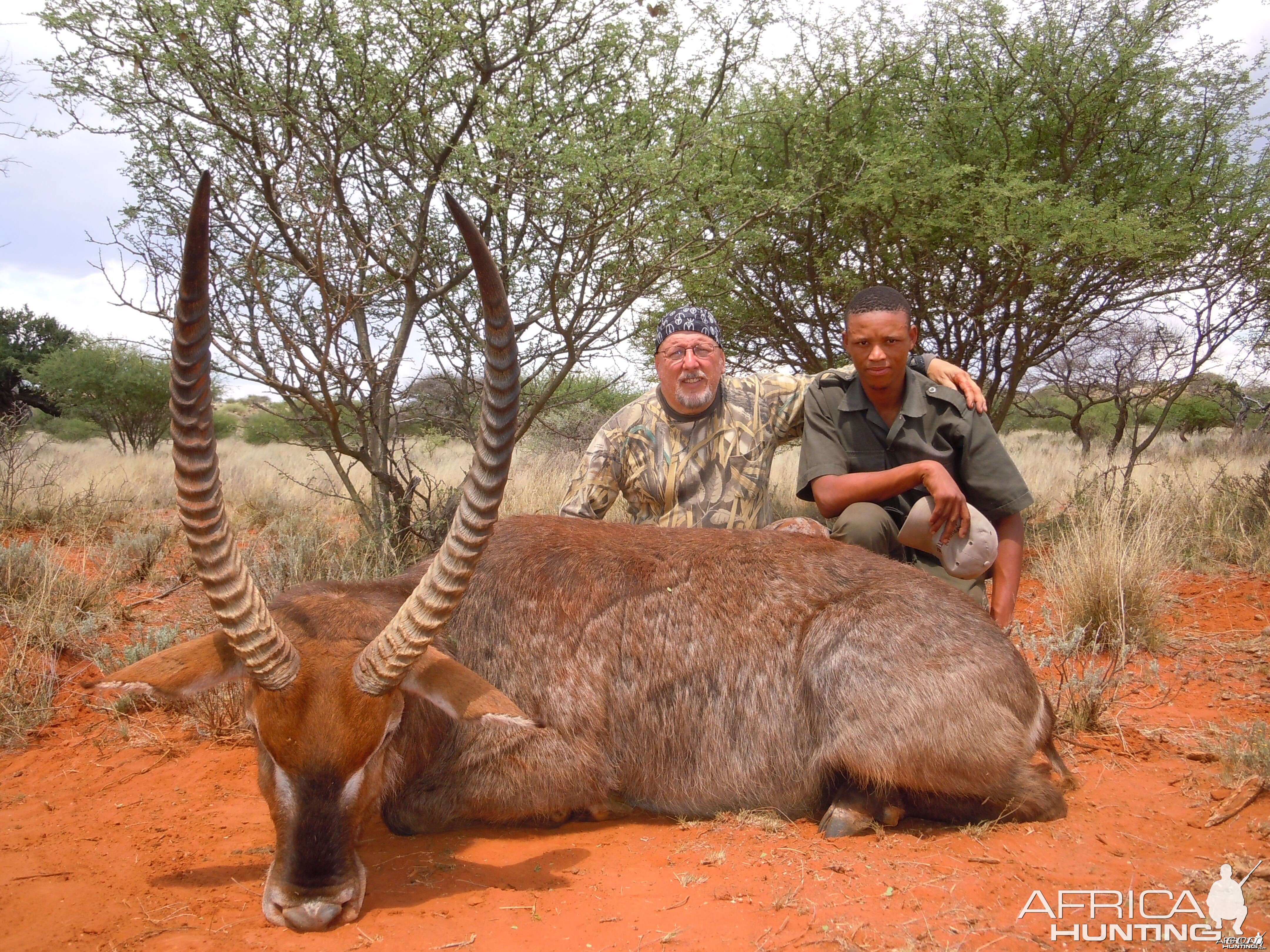 WaterBuck