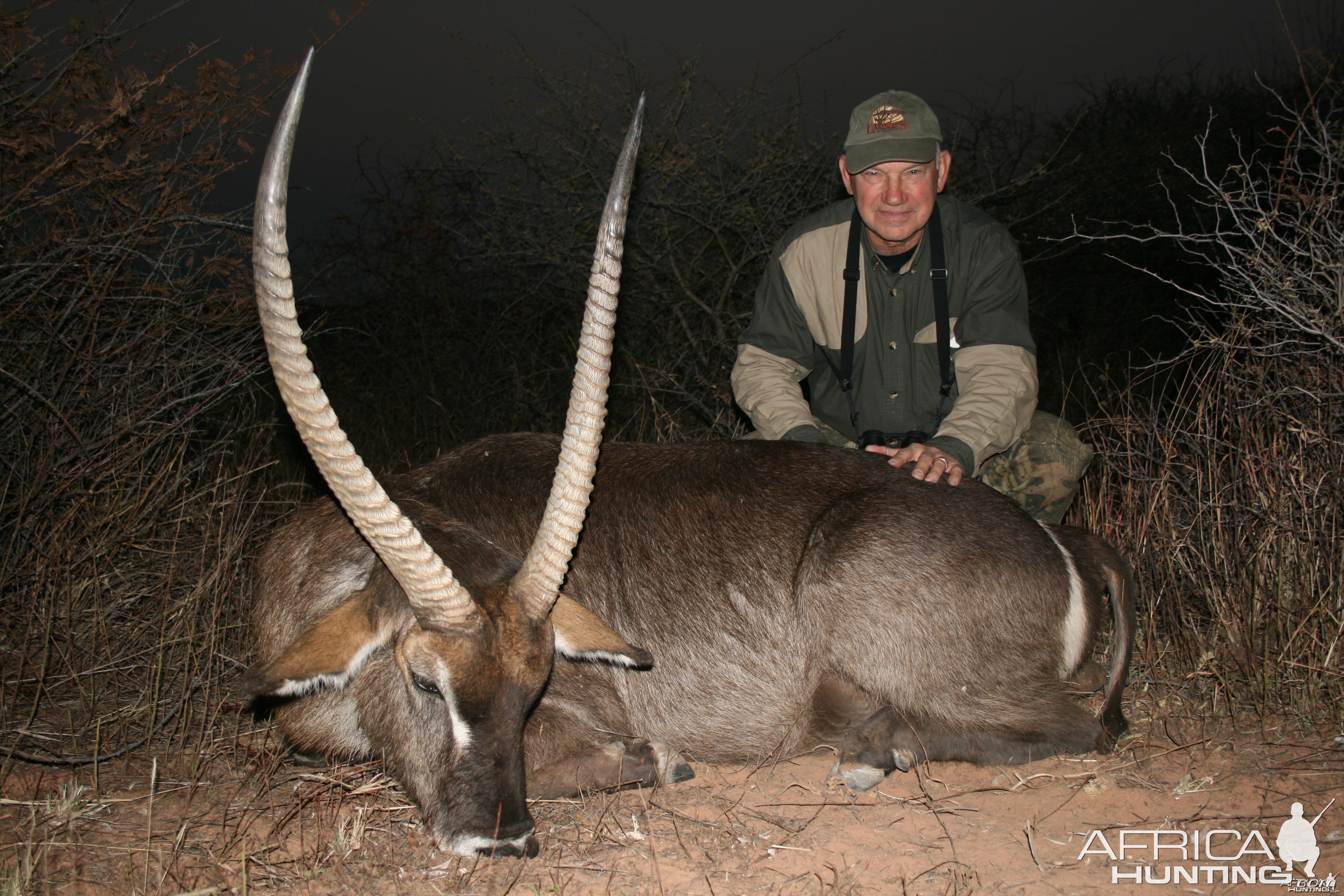 Waterbuck