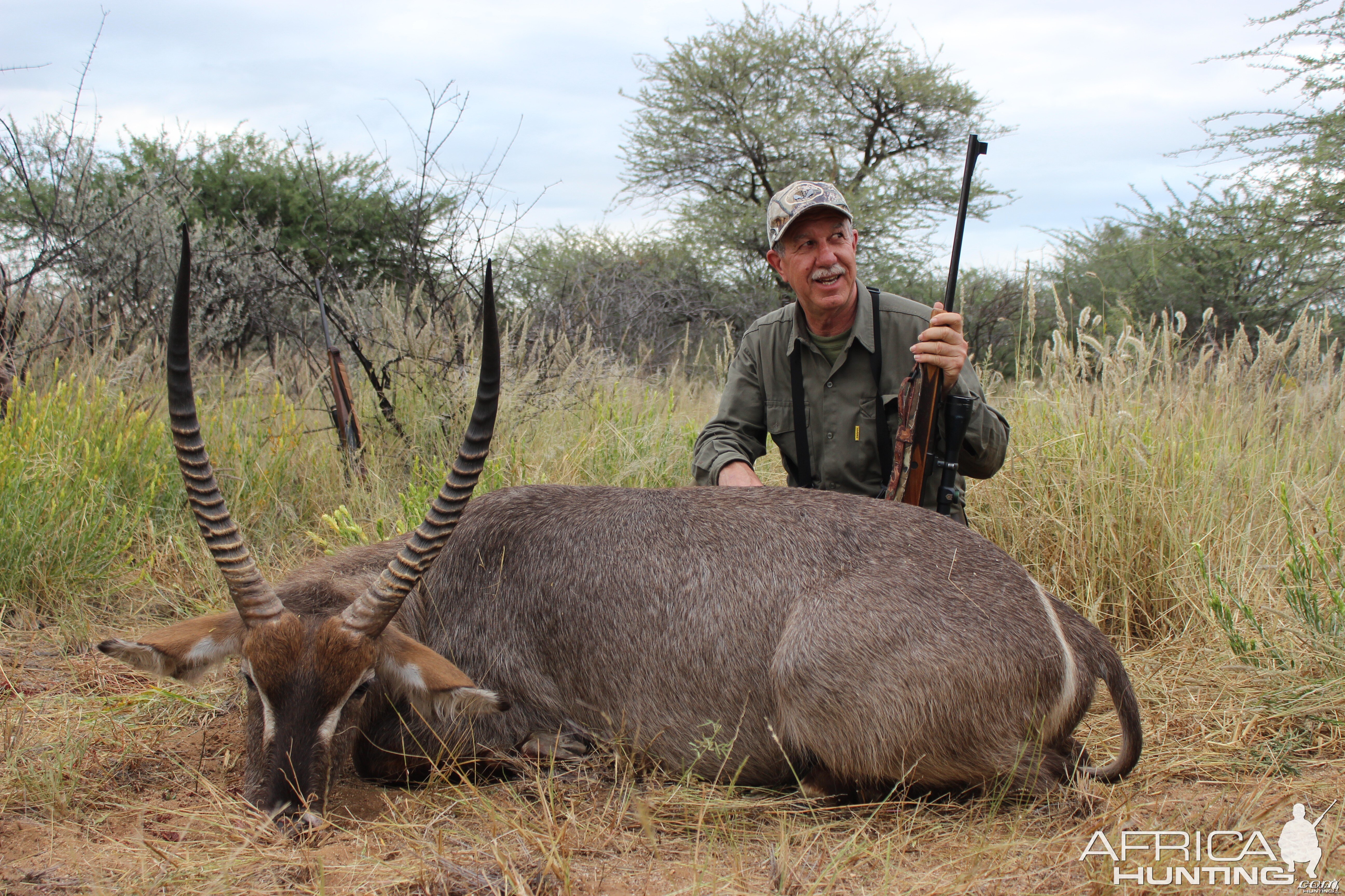 Waterbuck