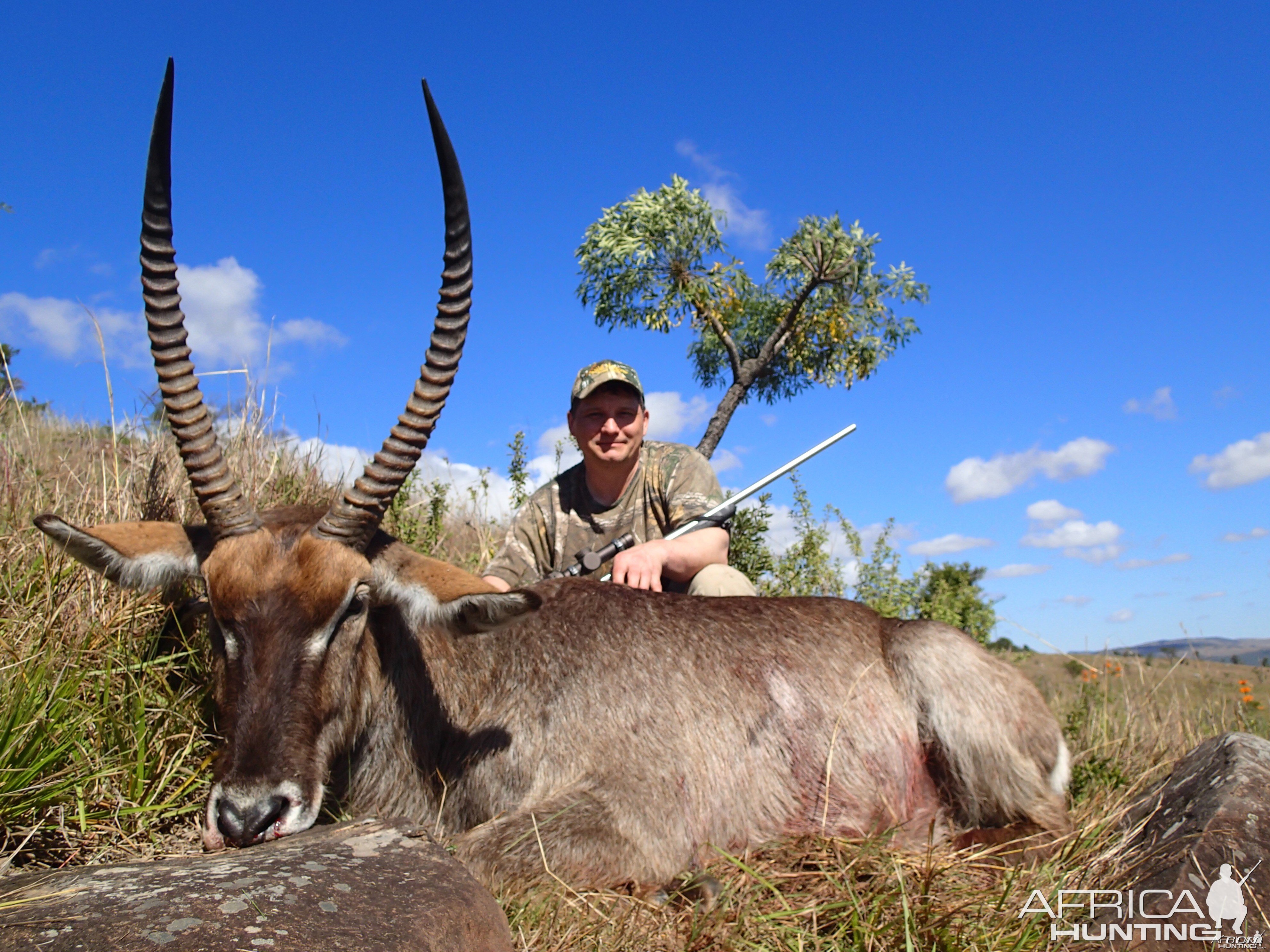 Waterbuck