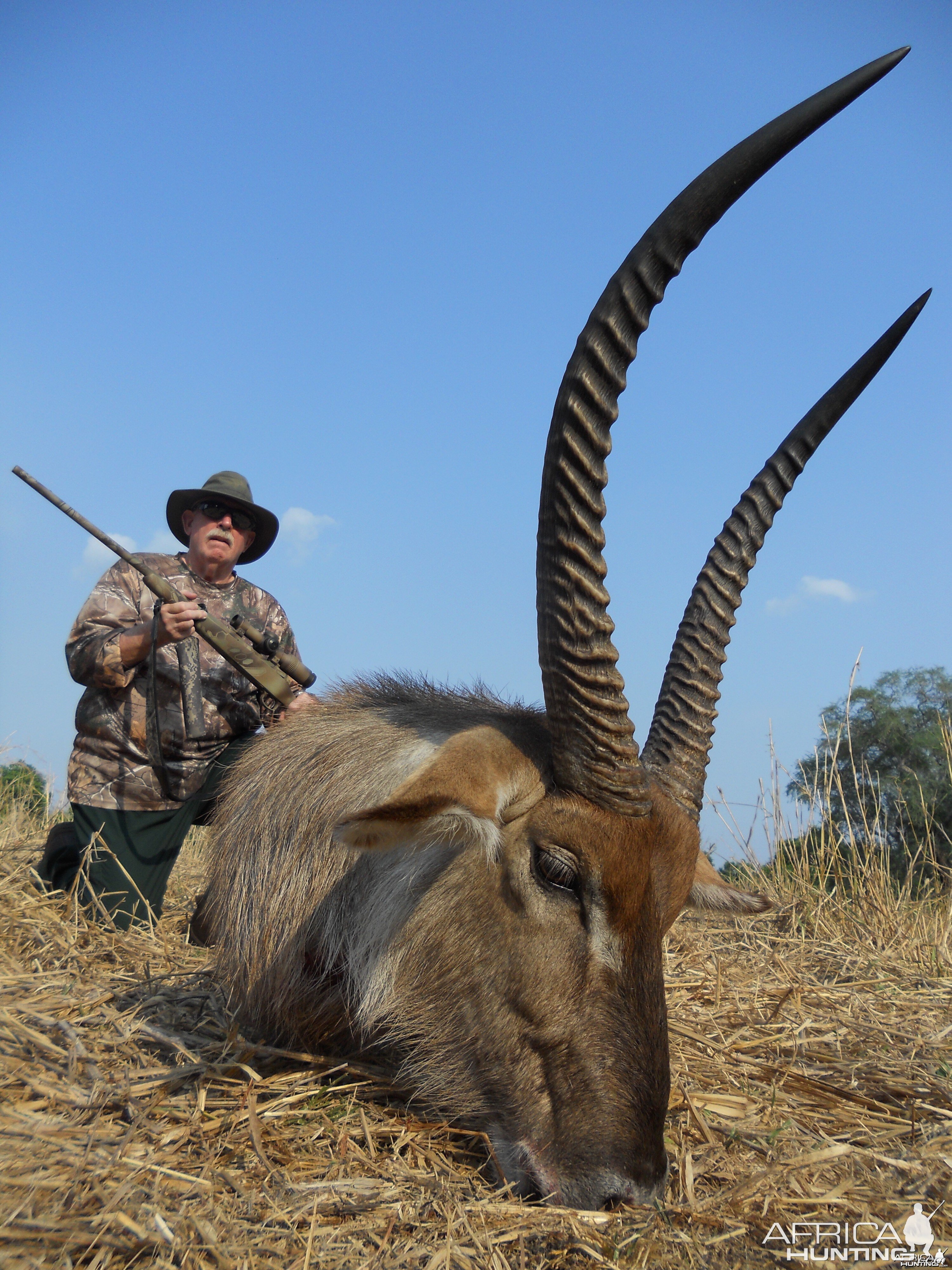 Waterbuck