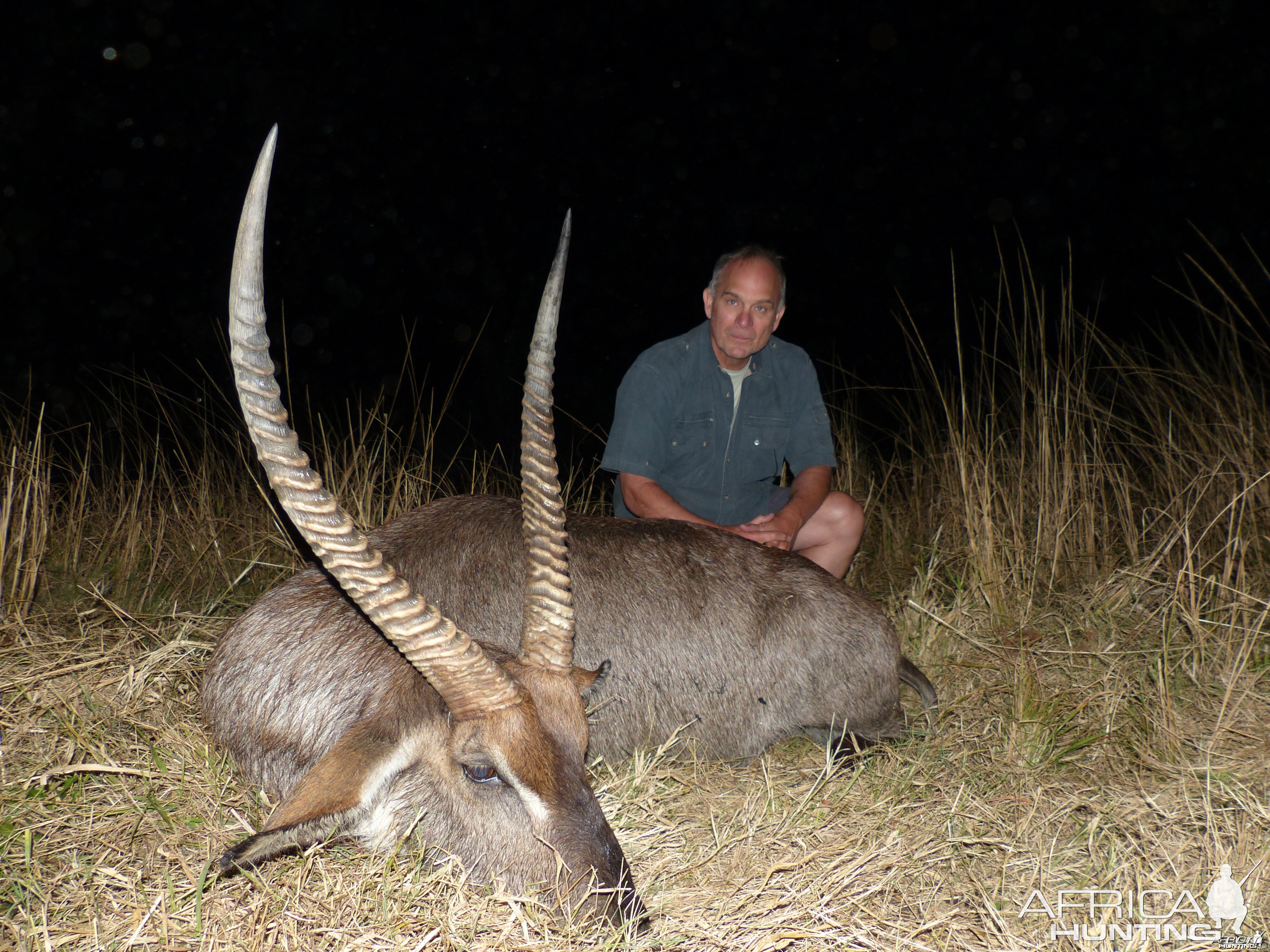 Waterbuck