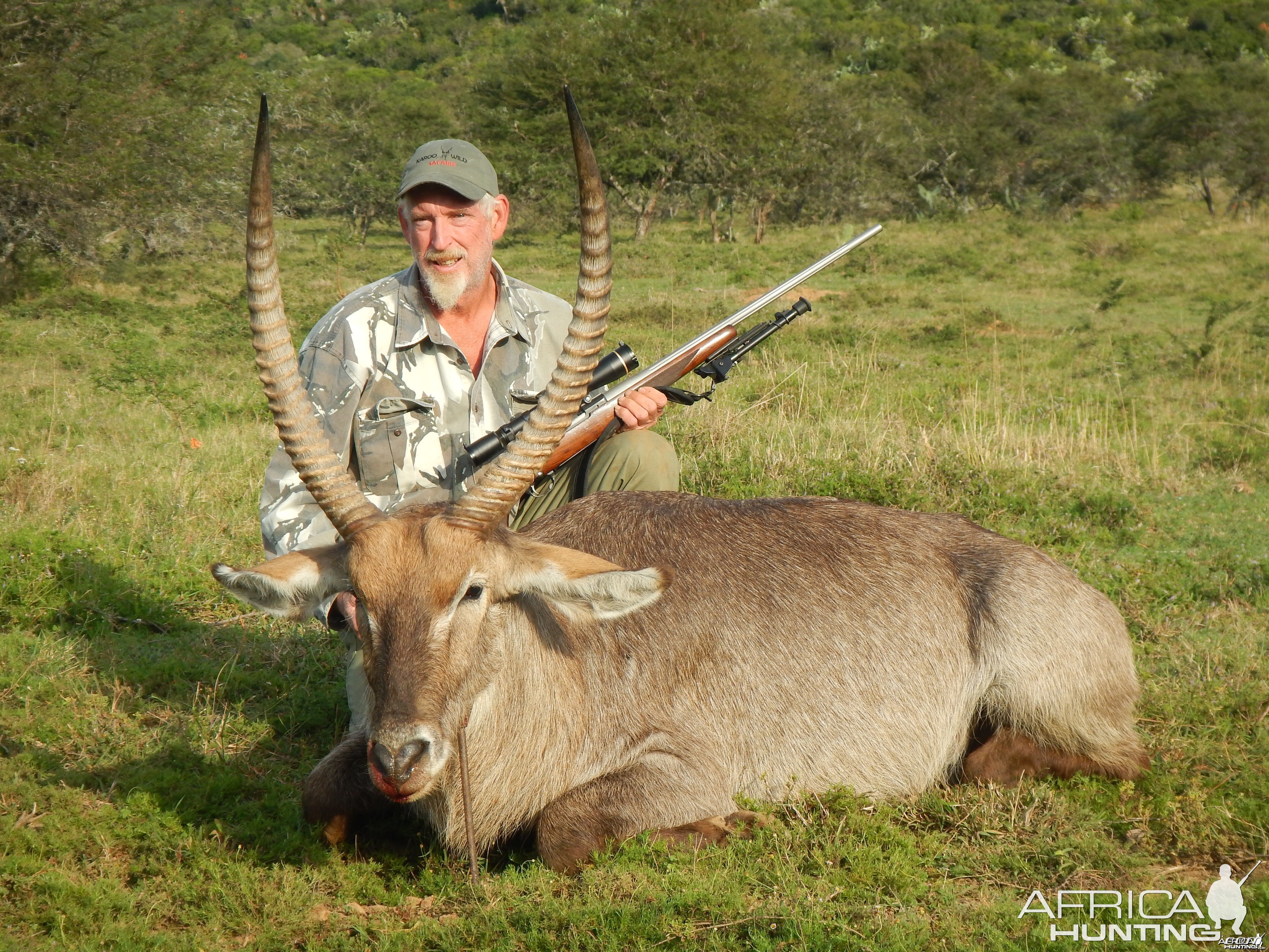 Waterbuck