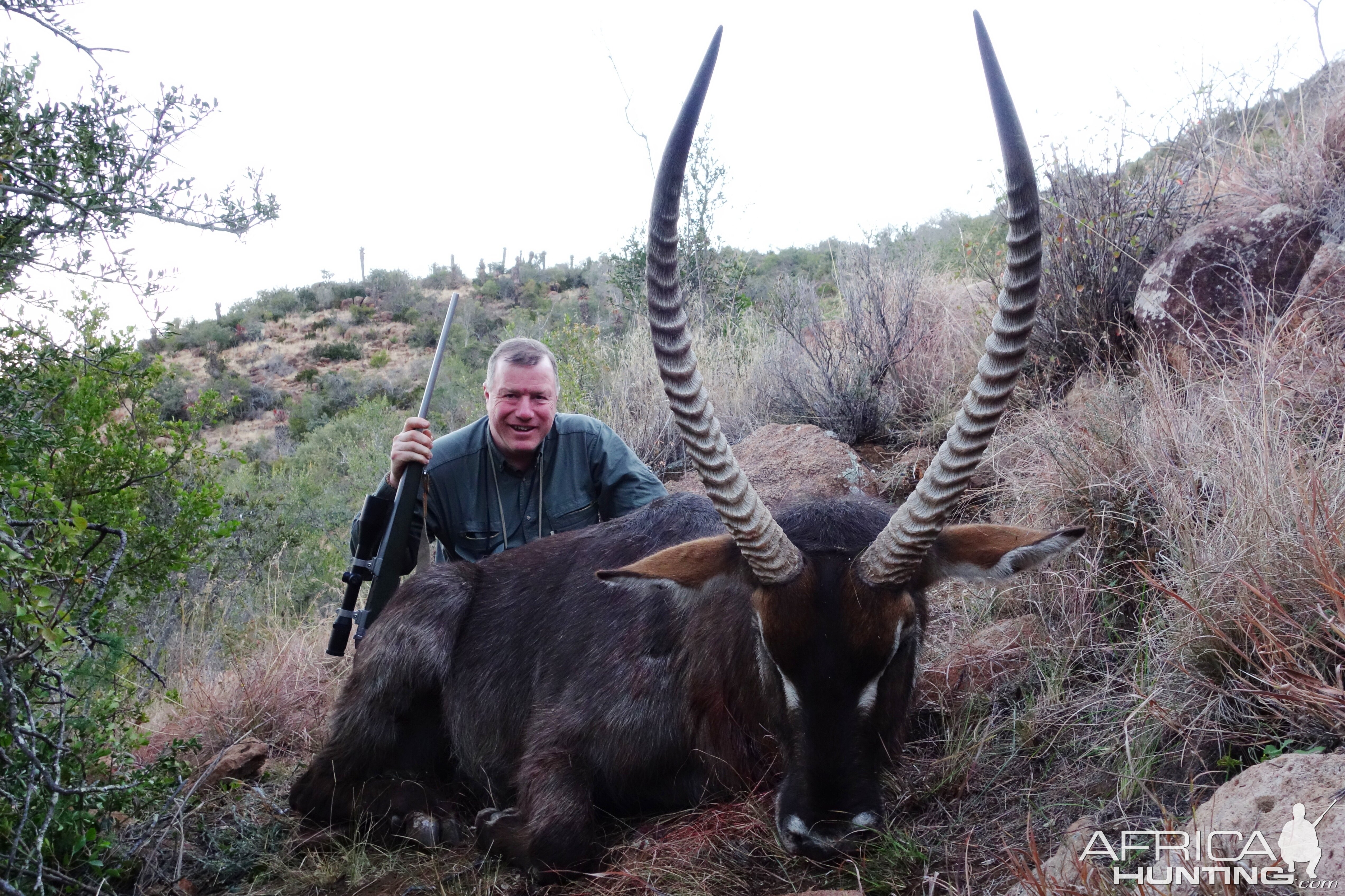 Waterbuck