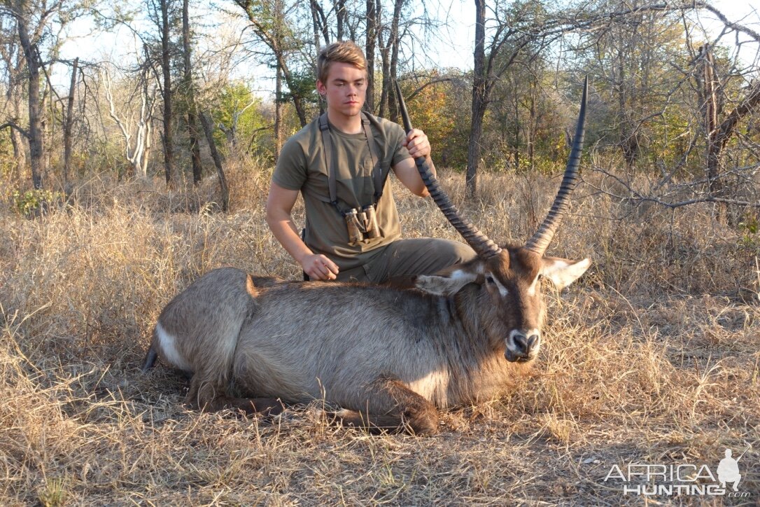 WaterbuckTanzania Hunt