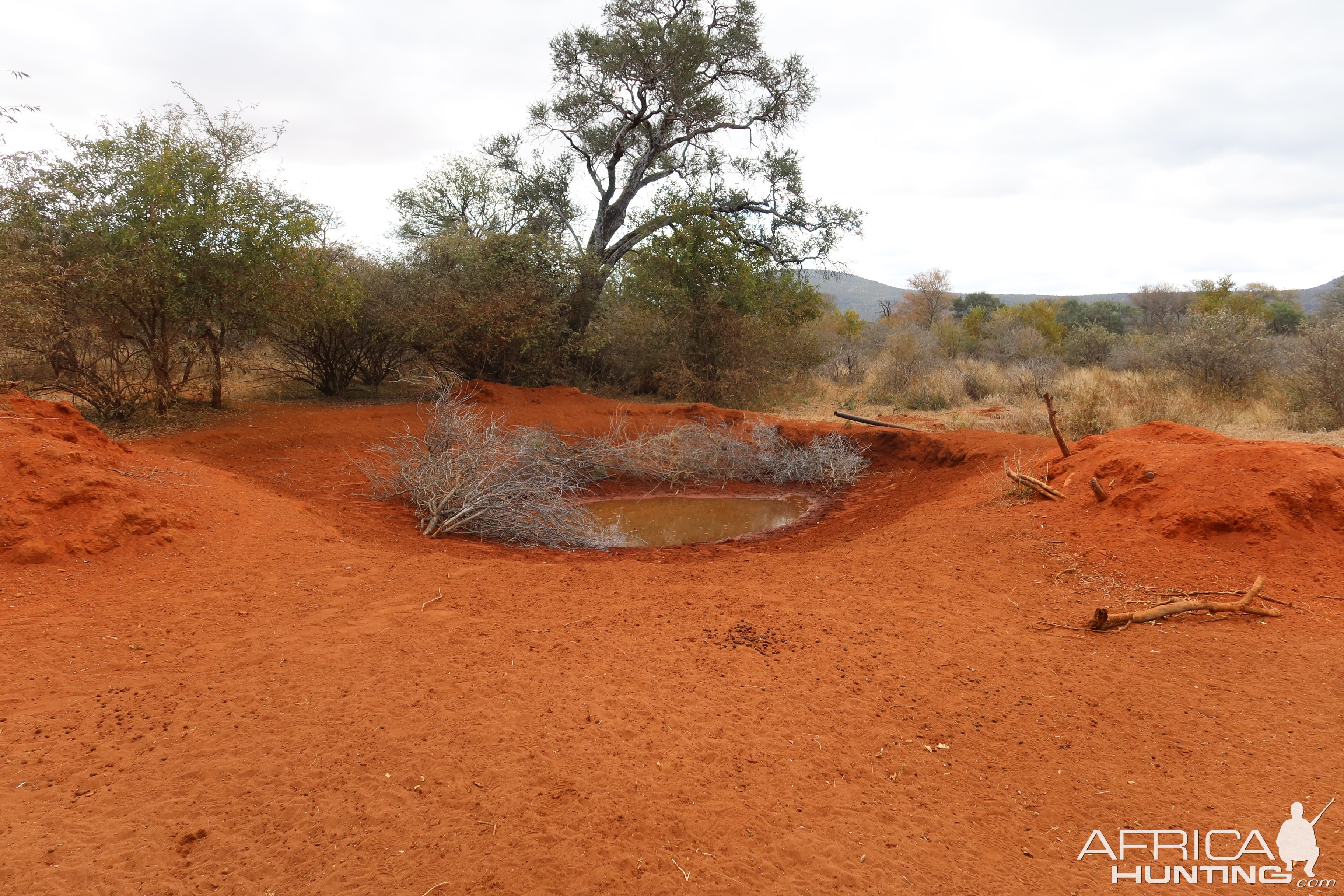 Waterhole Botswana