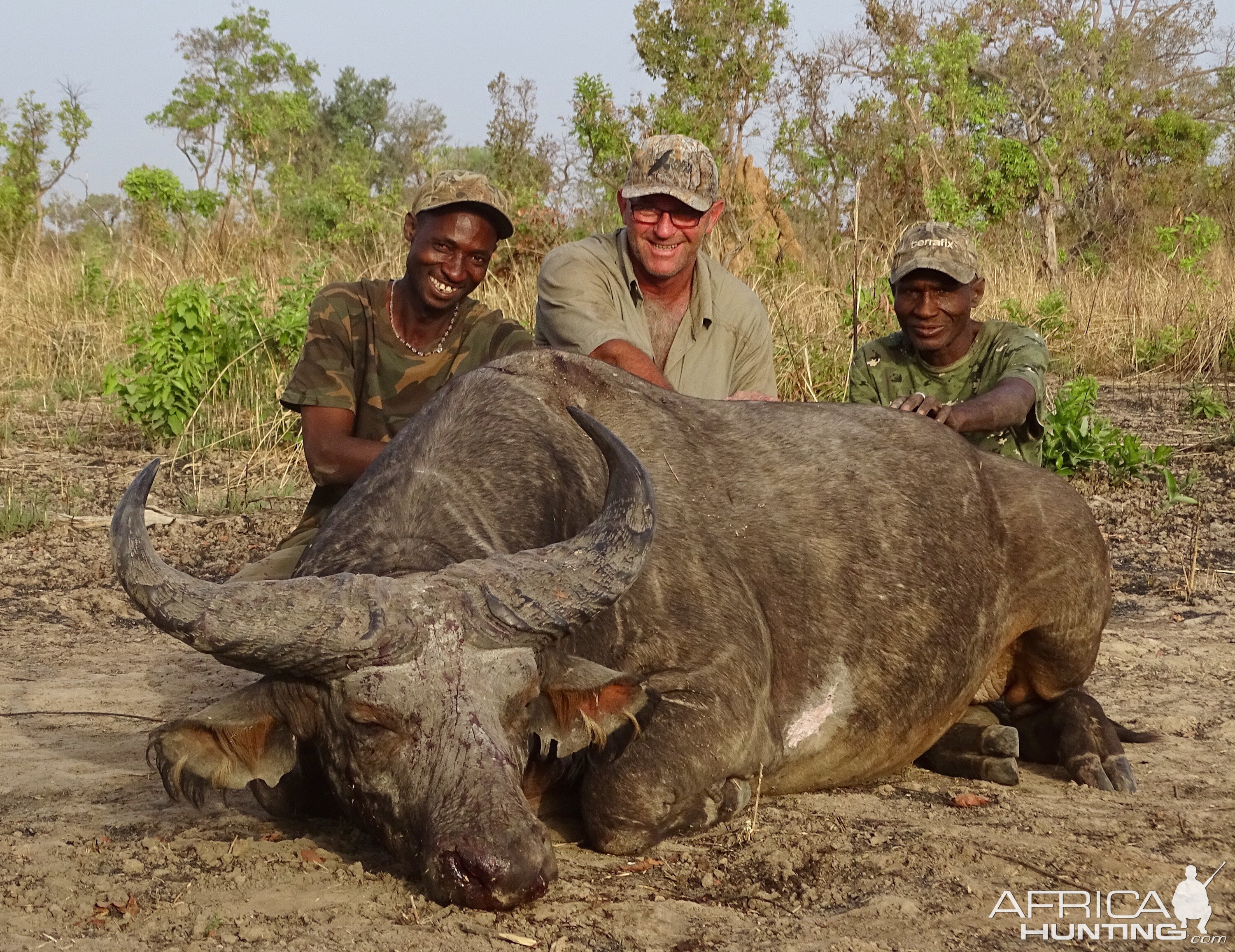 West Arrican Savanah Buffalo Hunt Benin