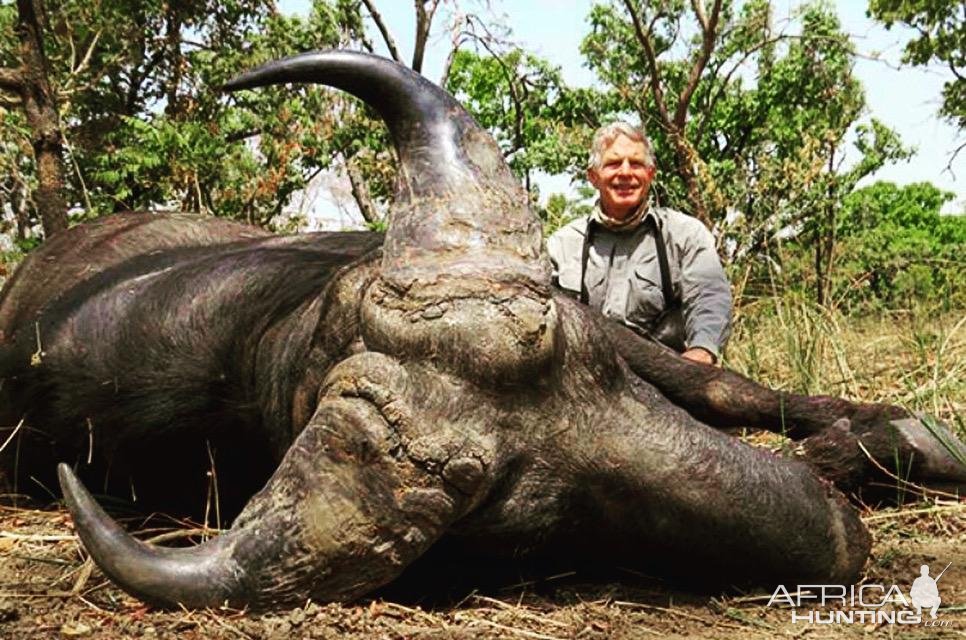 Western Buffalo Hunting North Cameroon