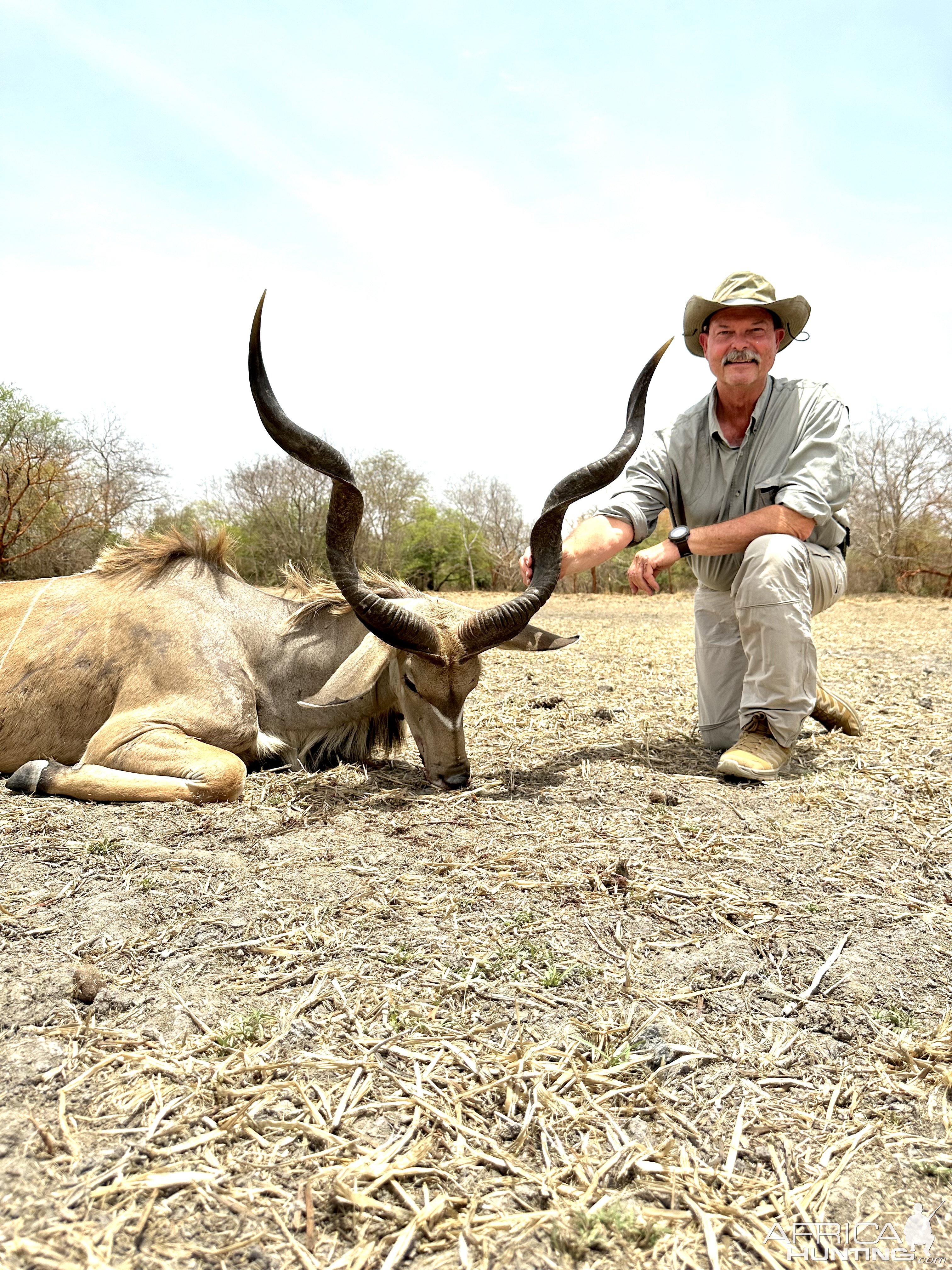 Western Greater Kudu Hunt