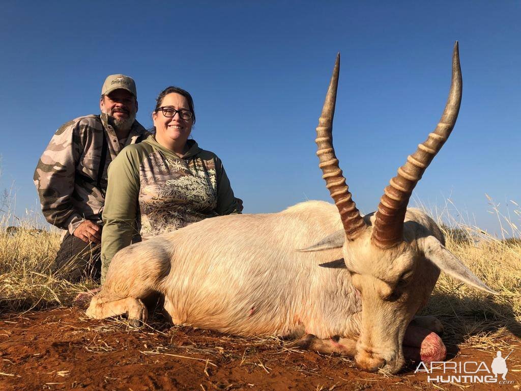 White Blesbok Bow Hunt South Africa