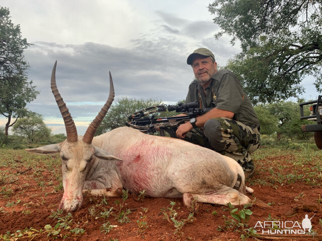 White Blesbok Cross Bow Hunt South Africa