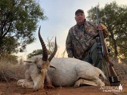 White Blesbok Hunt South Africa