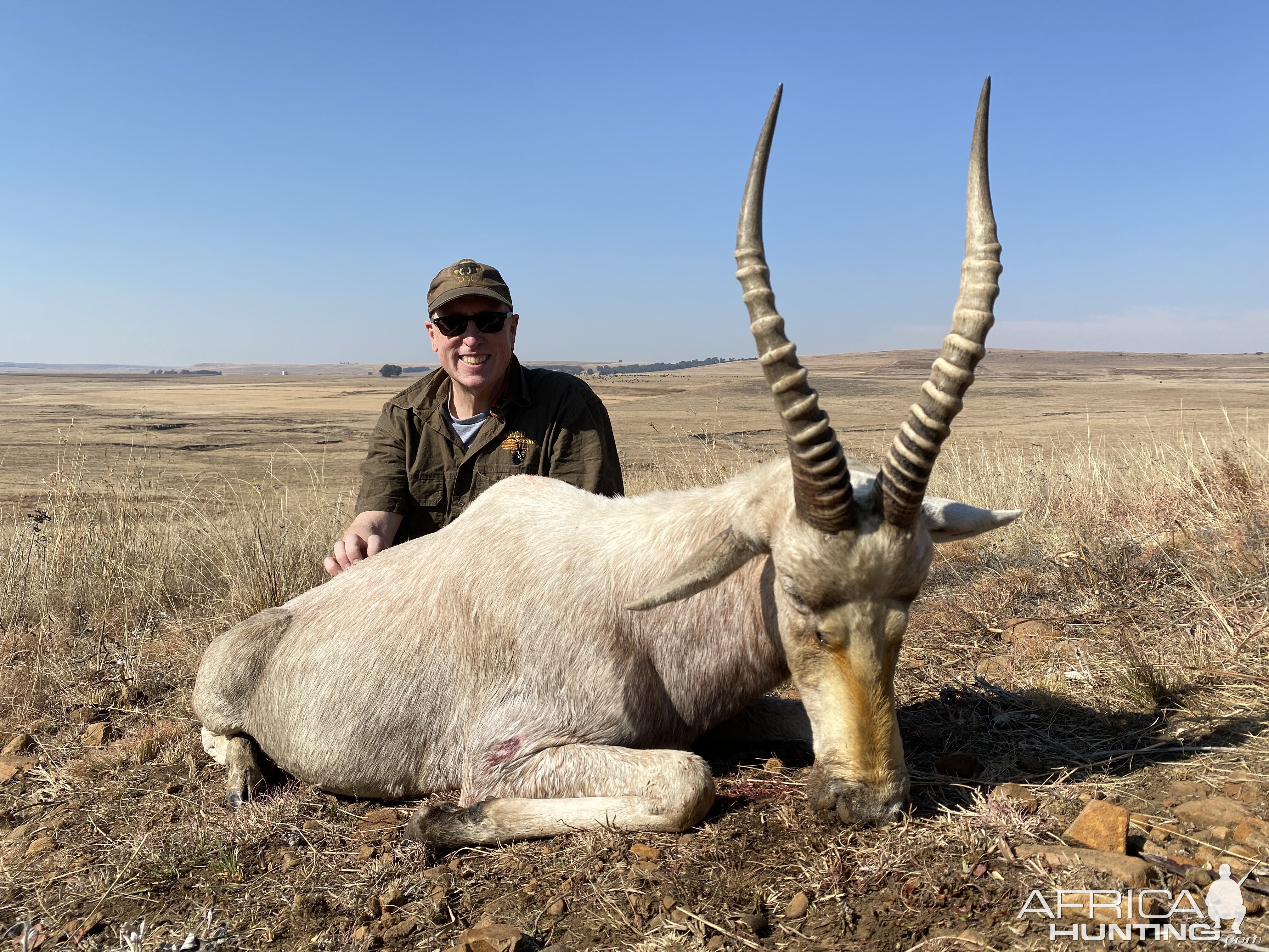 White Blesbok Hunt South Africa