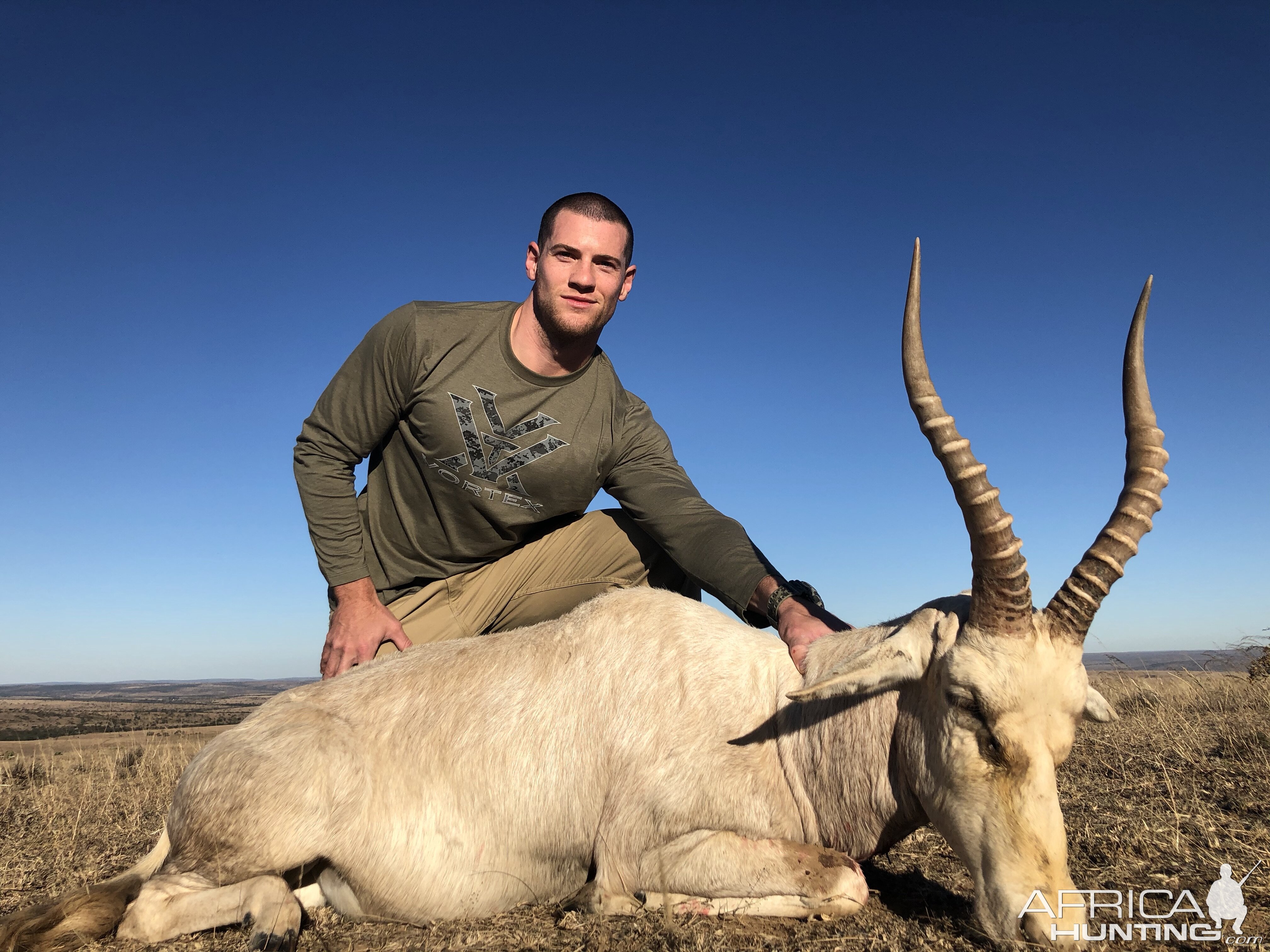 White Blesbok Hunting Eastern Cape South Africa