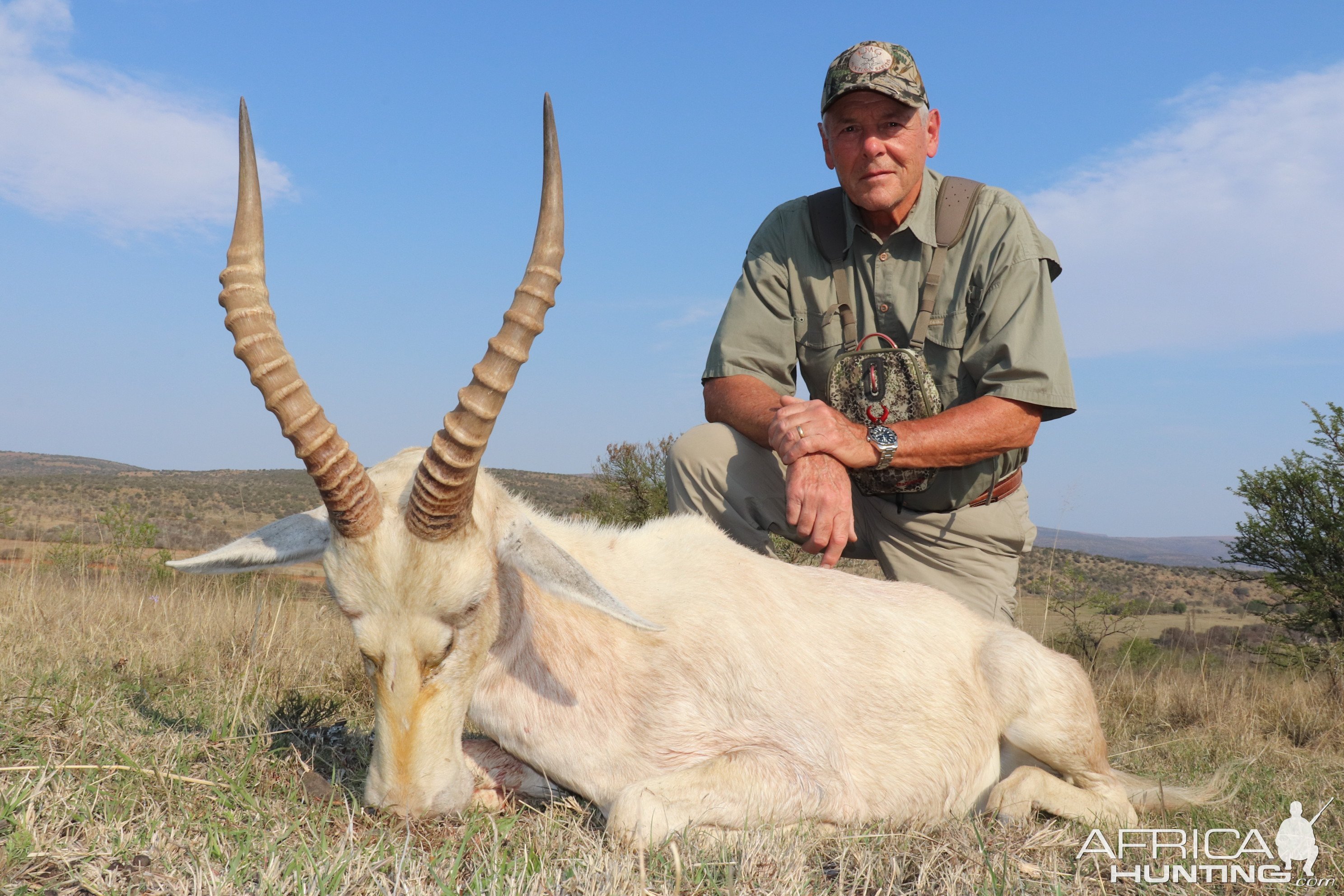 White Blesbok Hunting South Africa