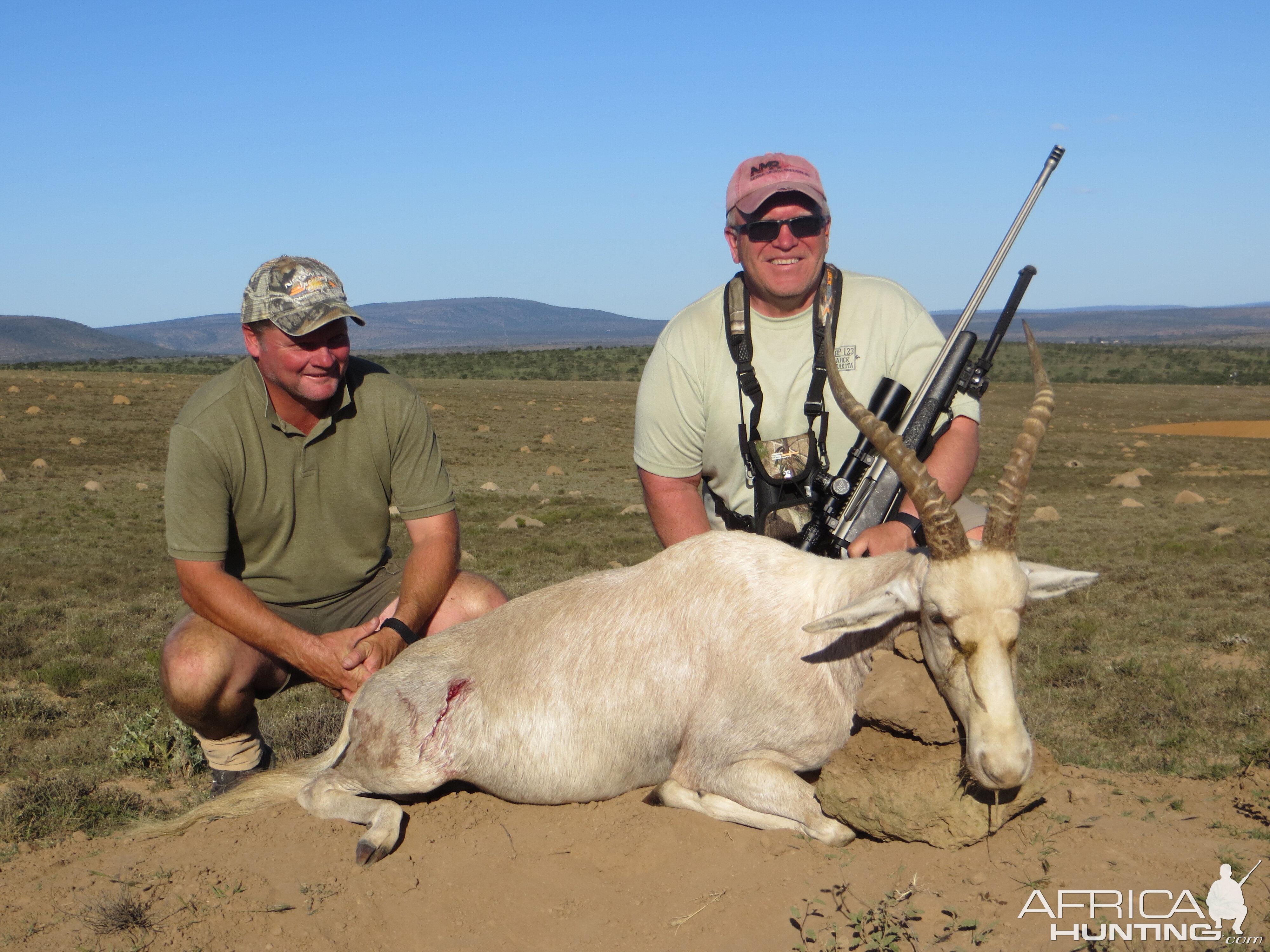 White Blesbok Hunting South Africa