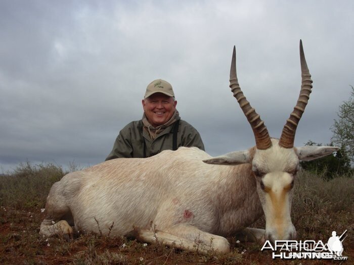 White Blesbok