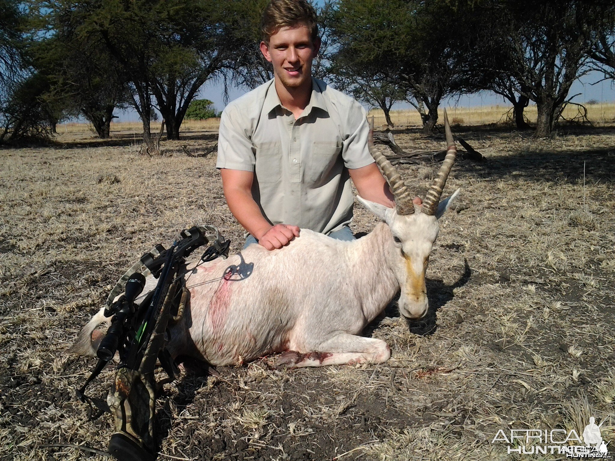 White blesbuck crossbow