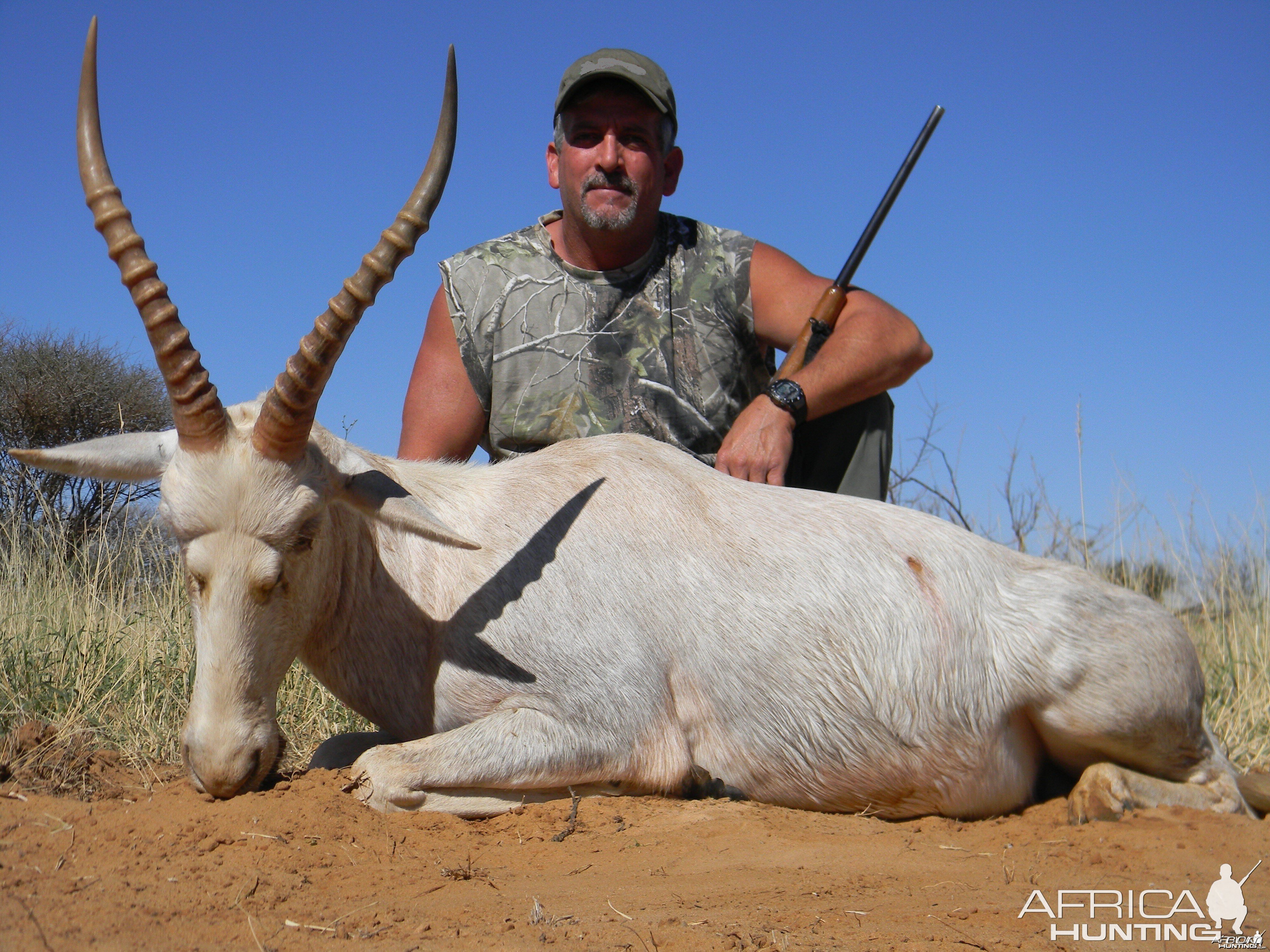 White Blesbuck