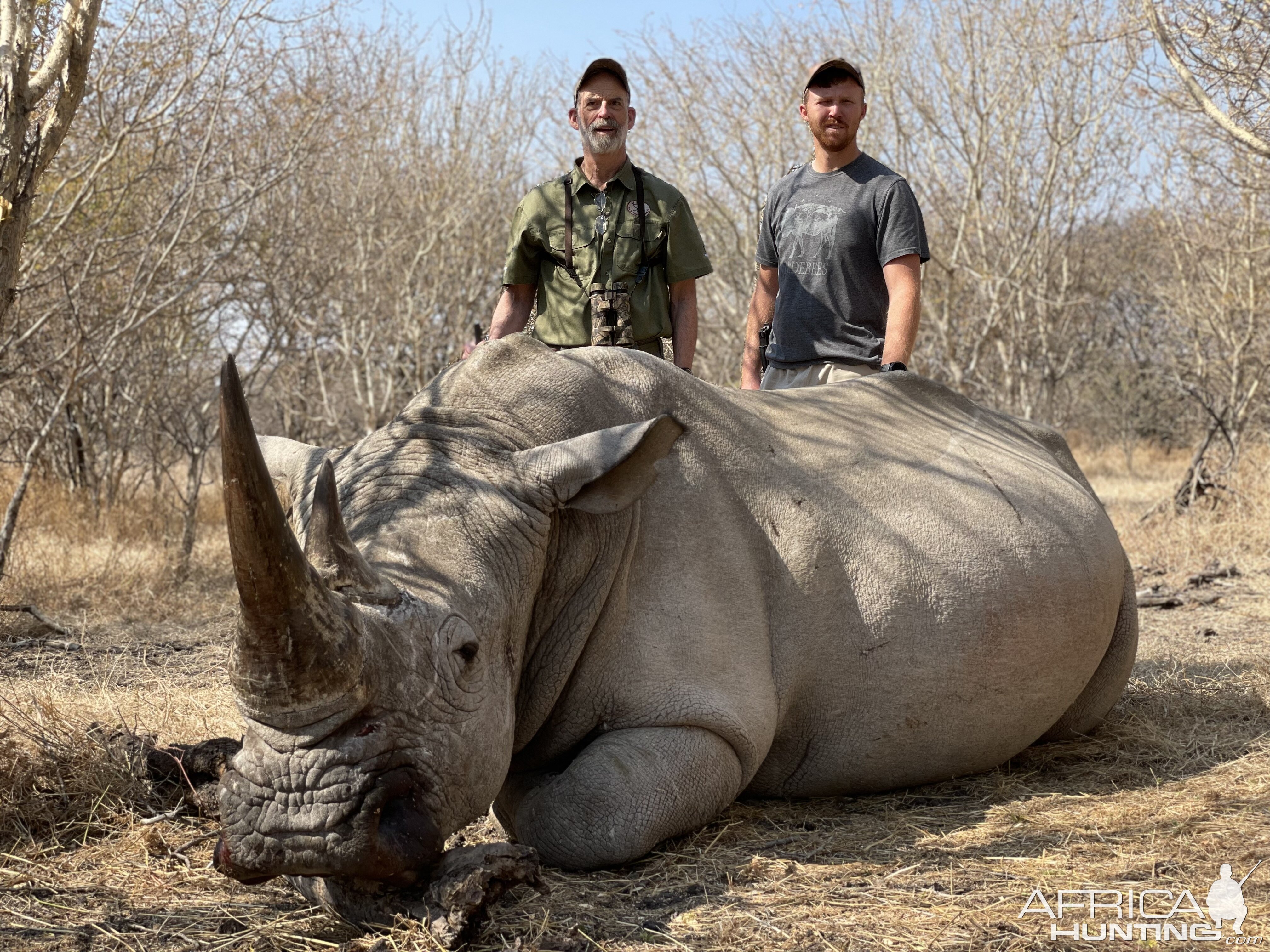 White Rhino Hunting Limpopo South Africa