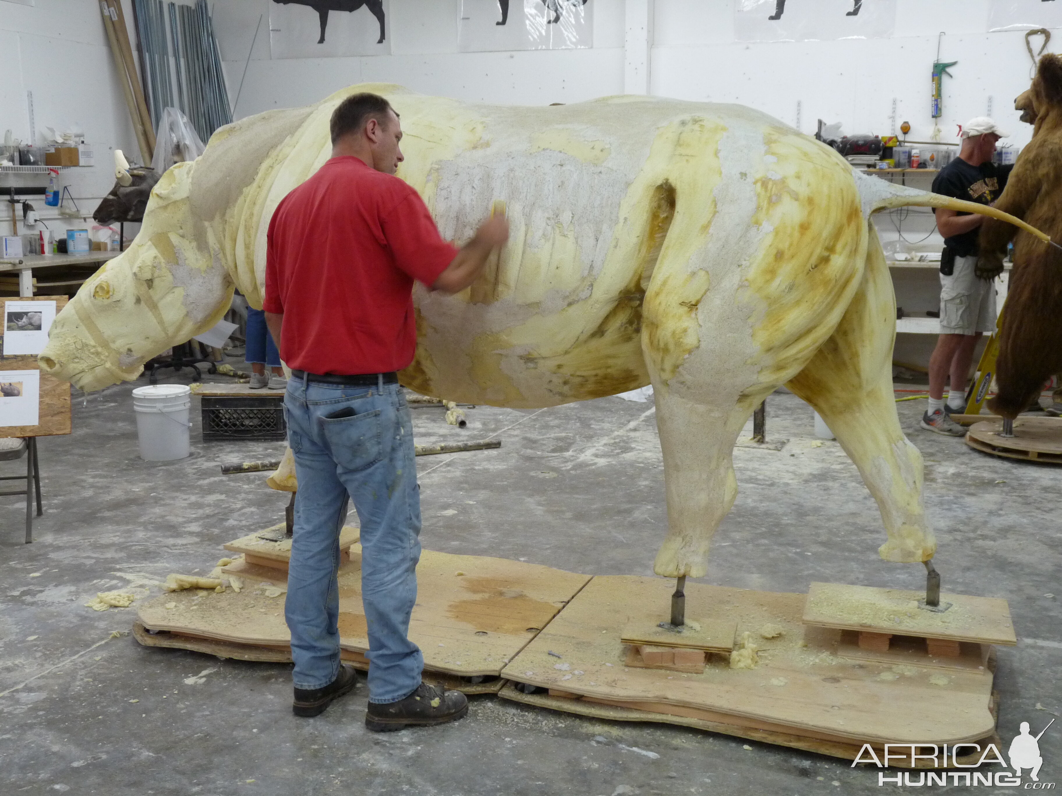 White Rhino Mounting Process