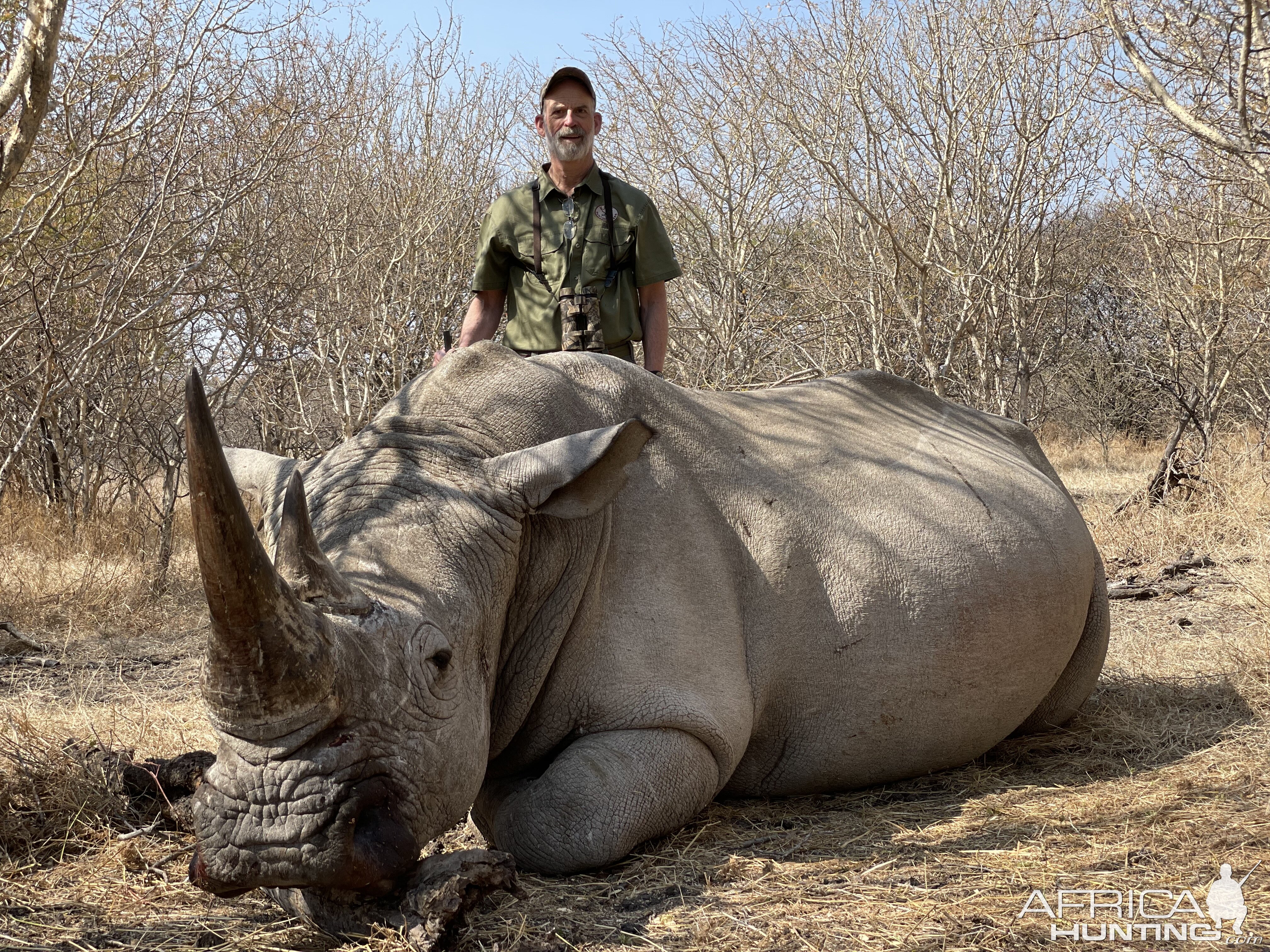 White Rhino