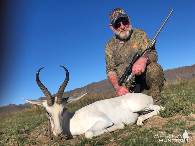 white springbok 2019 RSA