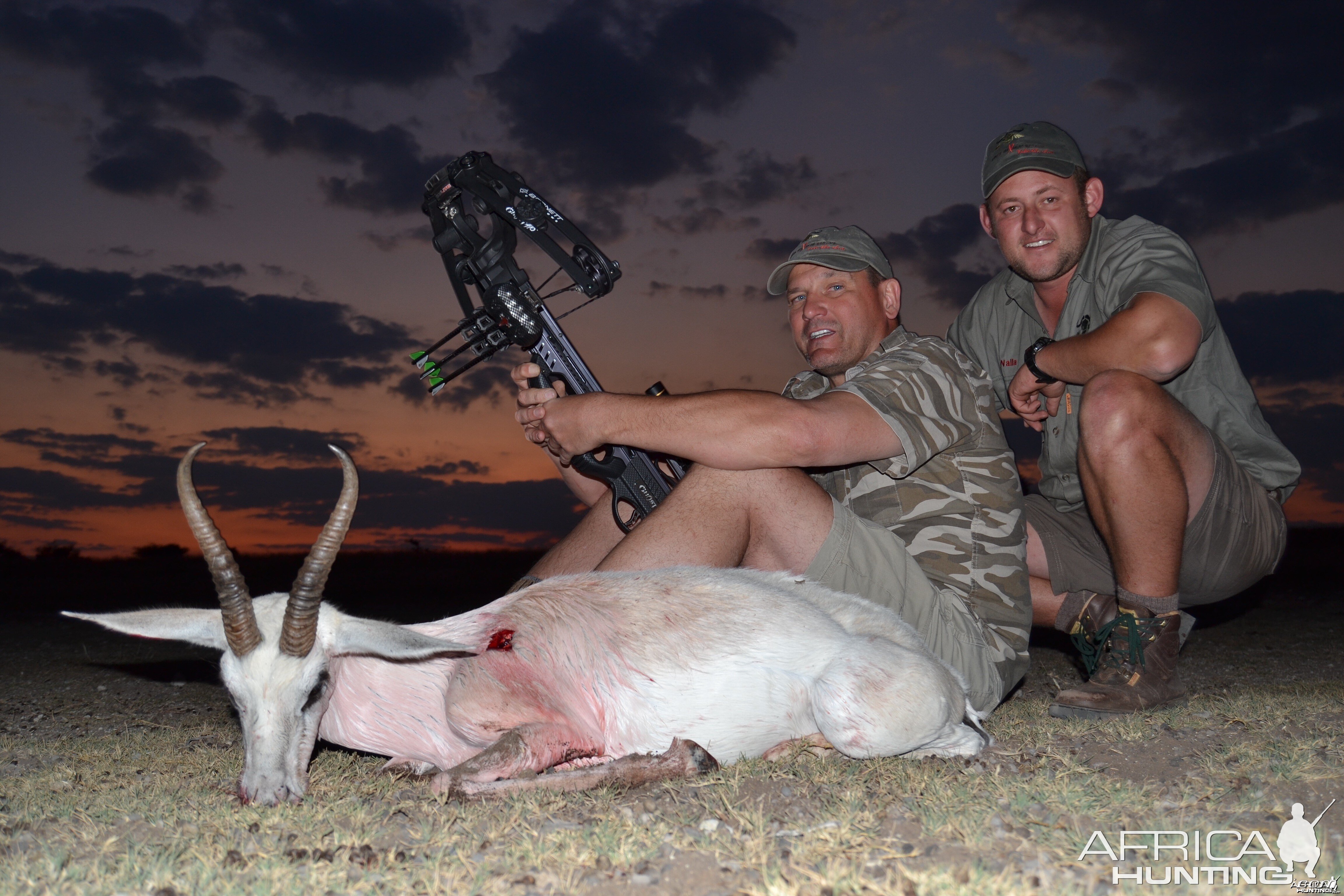 White Springbok - Crossbow