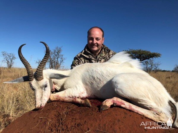 White Springbok Hunt South Africa
