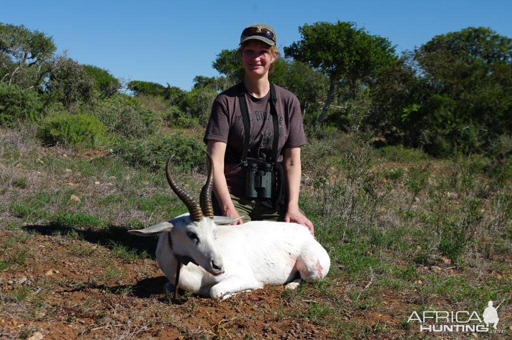 White Springbok Hunting in South Africa
