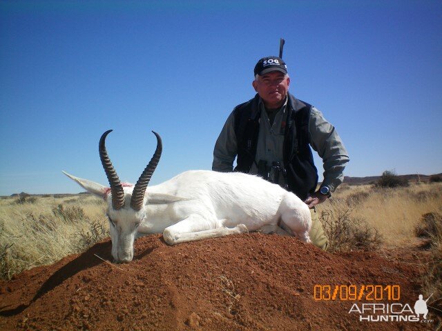 White Springbok Hunting