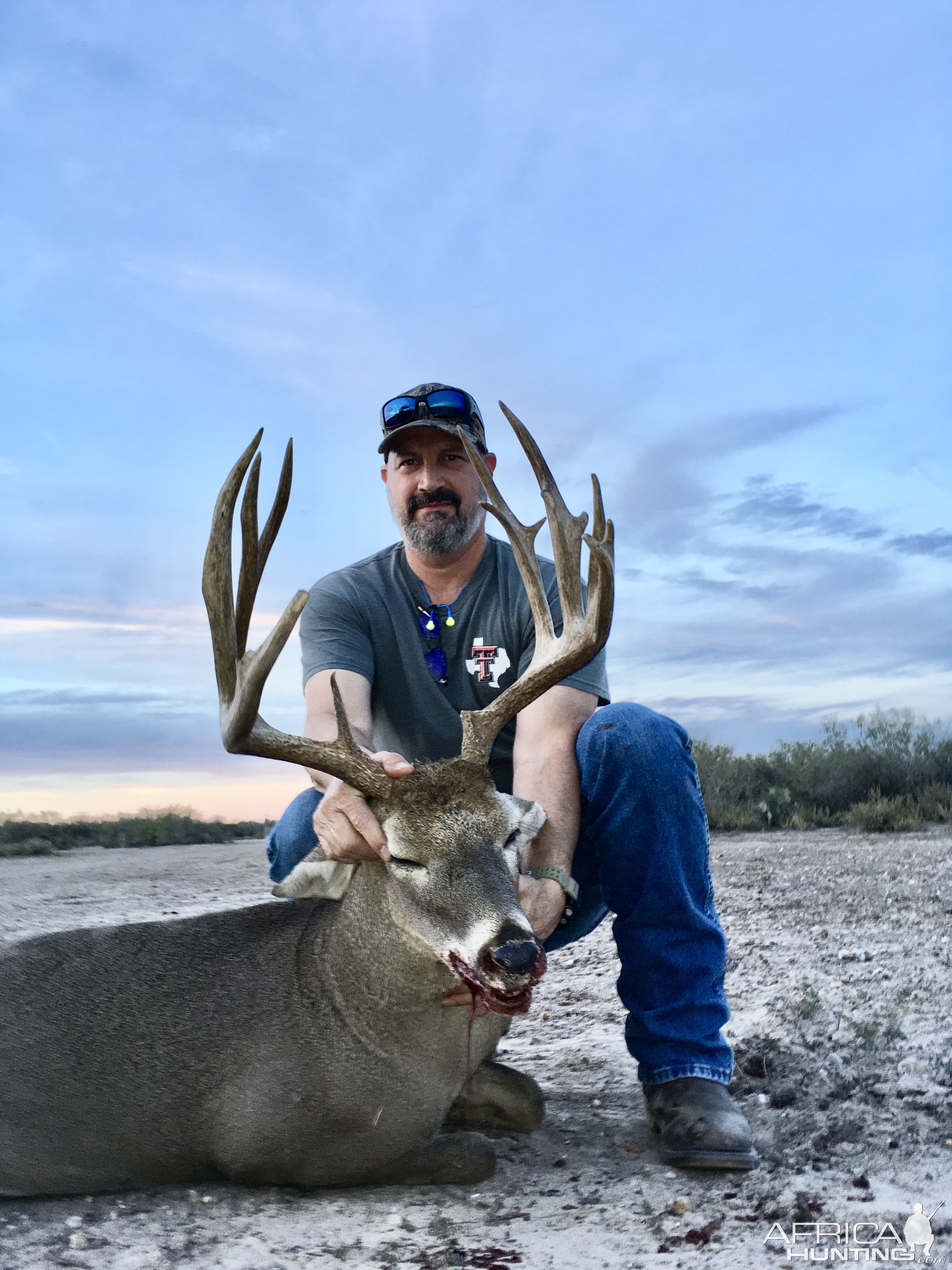 White-tailed Deer Hunt Texas USA