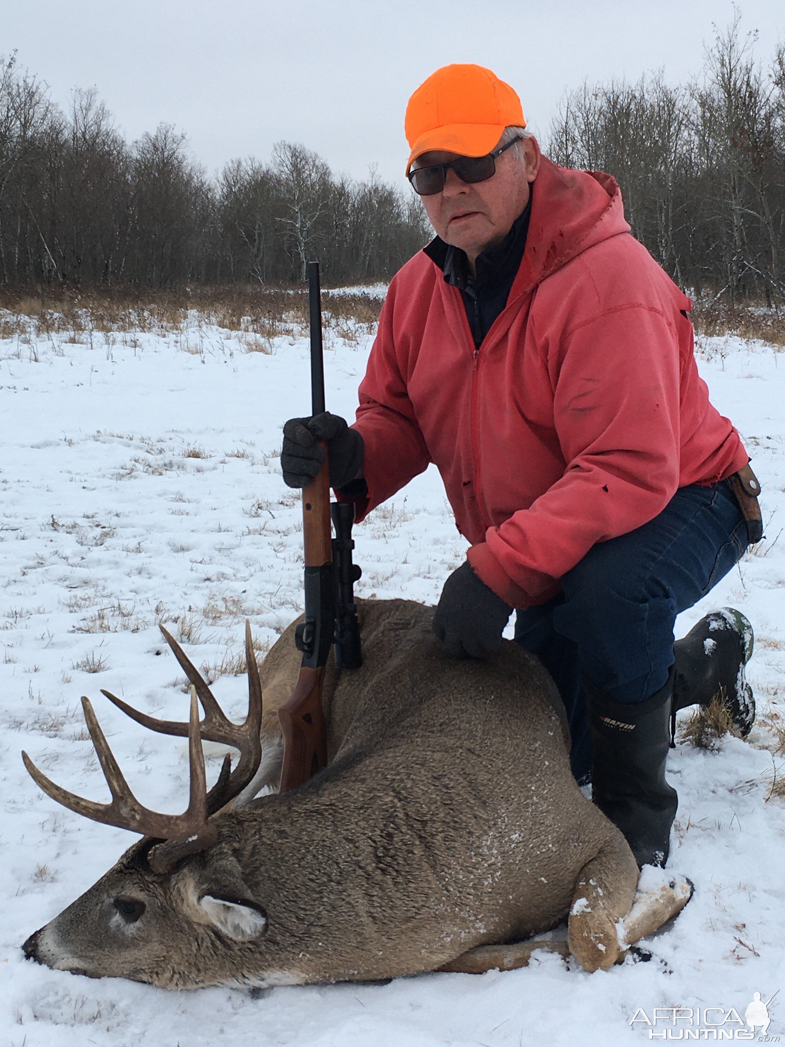 White-tailed Deer Hunting Canada