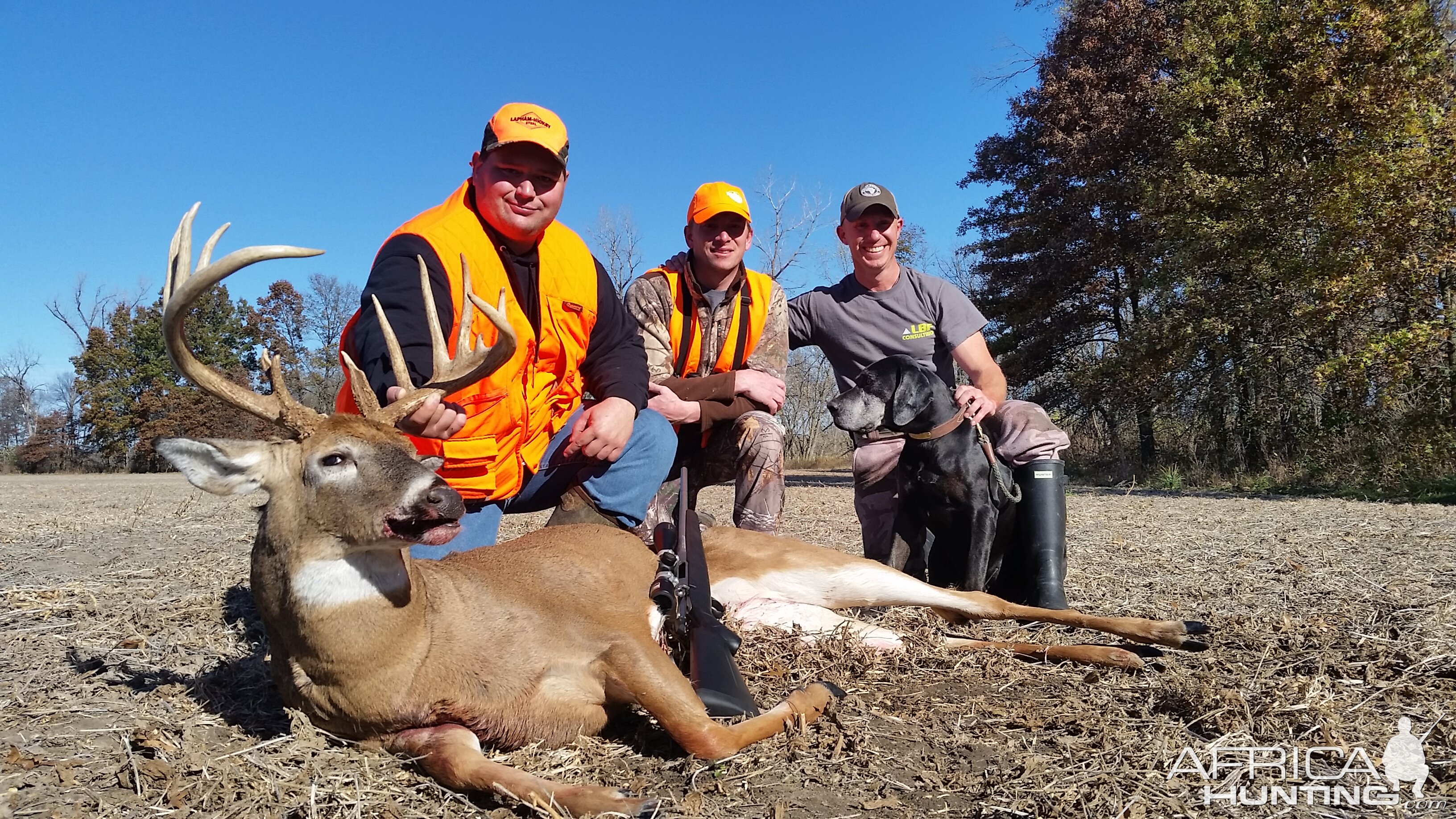 White-tailed Deer Hunting Missouri USA