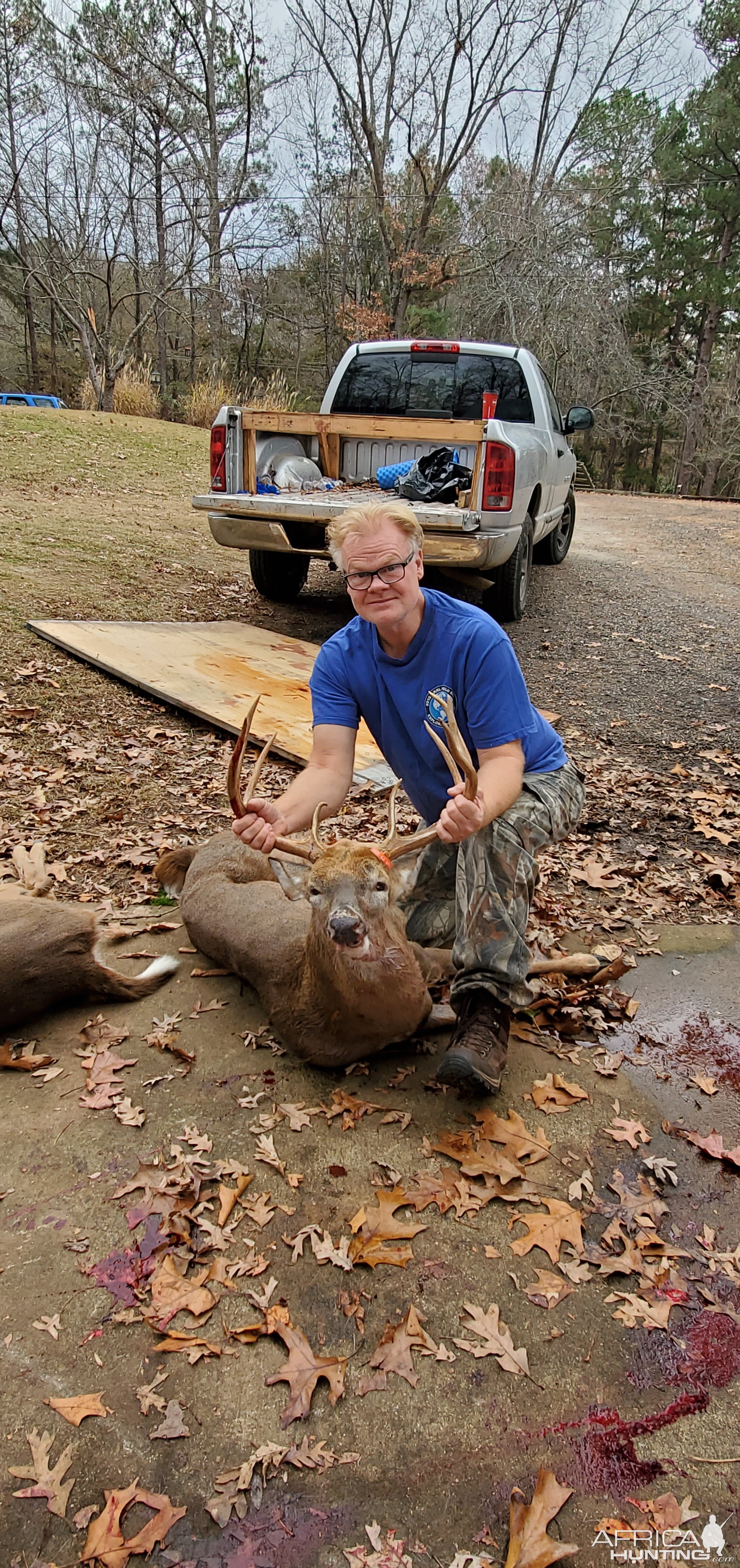 White-tailed Deer Hunting USA