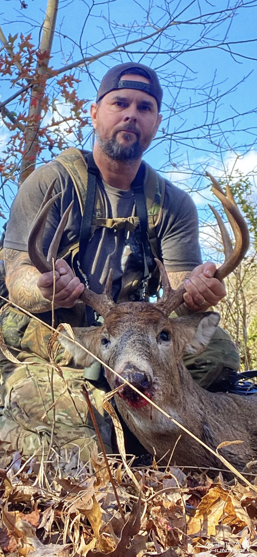 Whitetail bow hunt