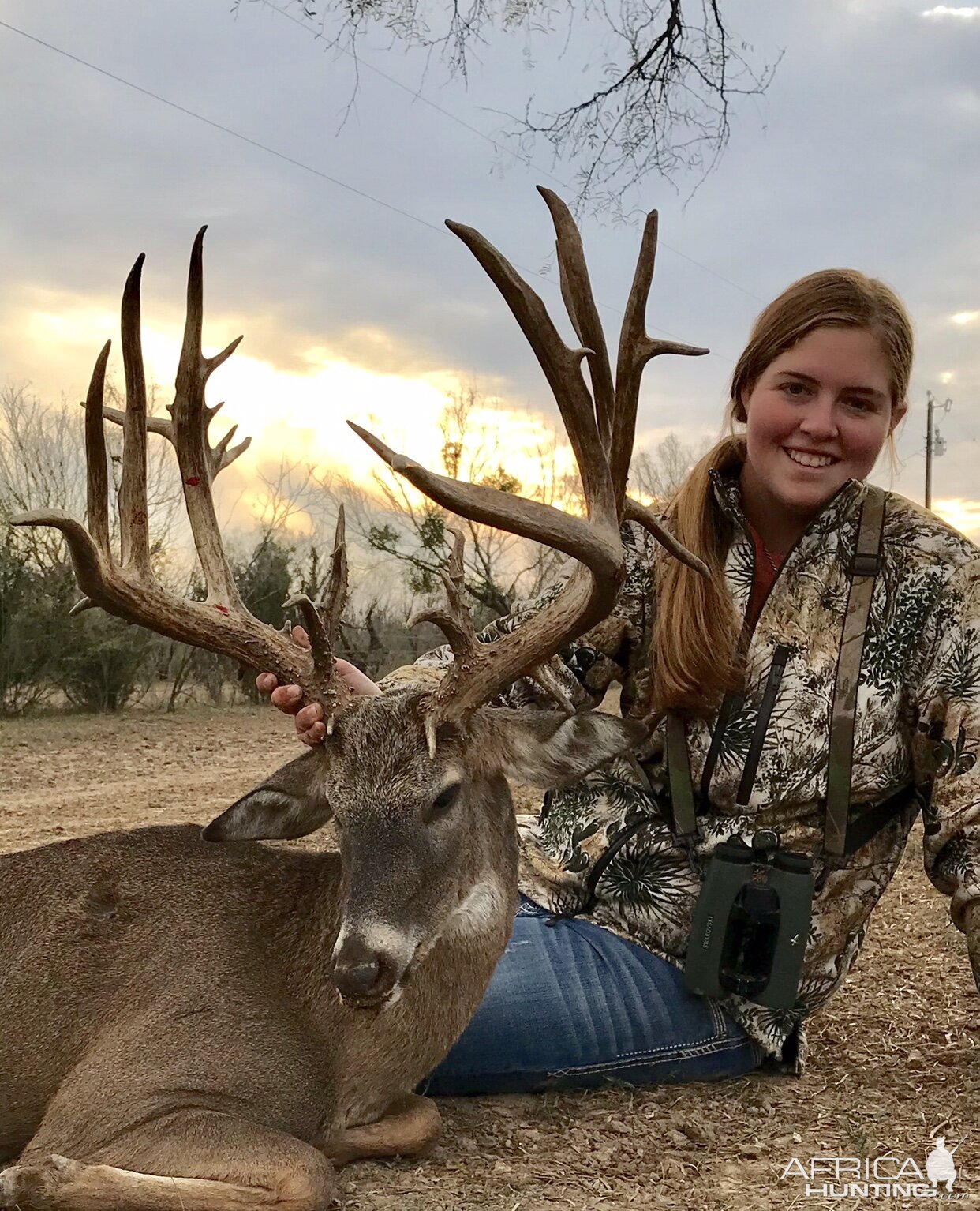 Whitetail Deer Bow Hunt