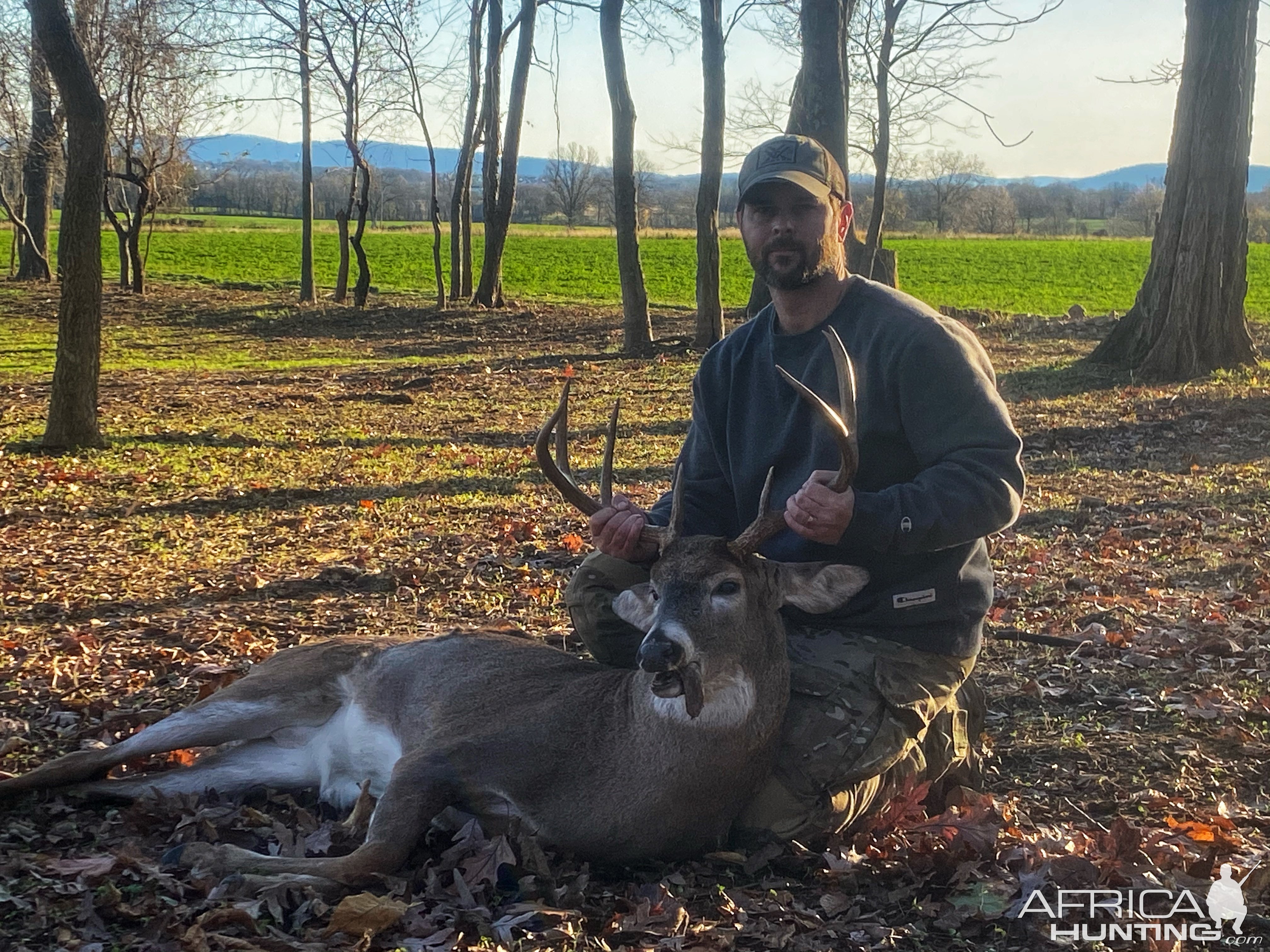 Whitetail Deer Bow Hunting Northern Virginia