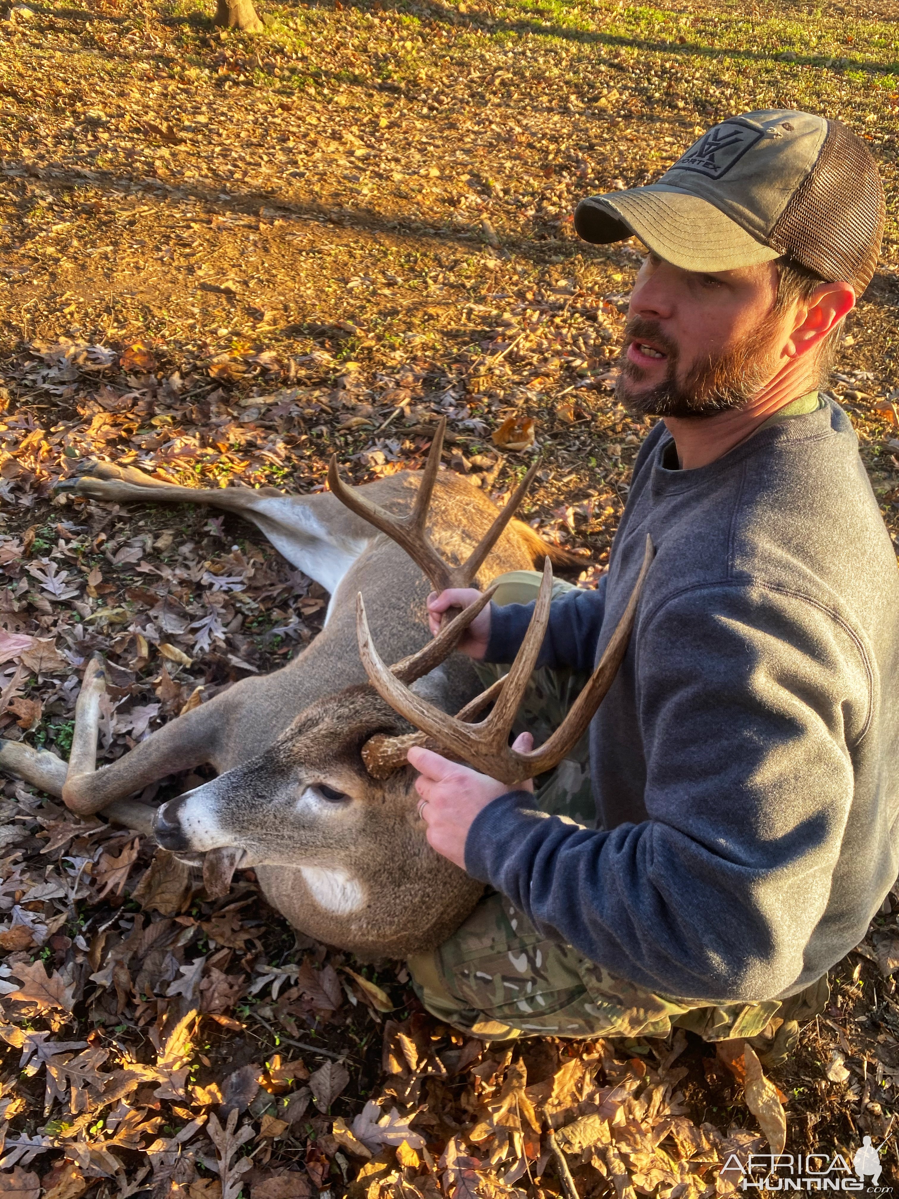 Whitetail Deer Bow Hunting Northern Virginia