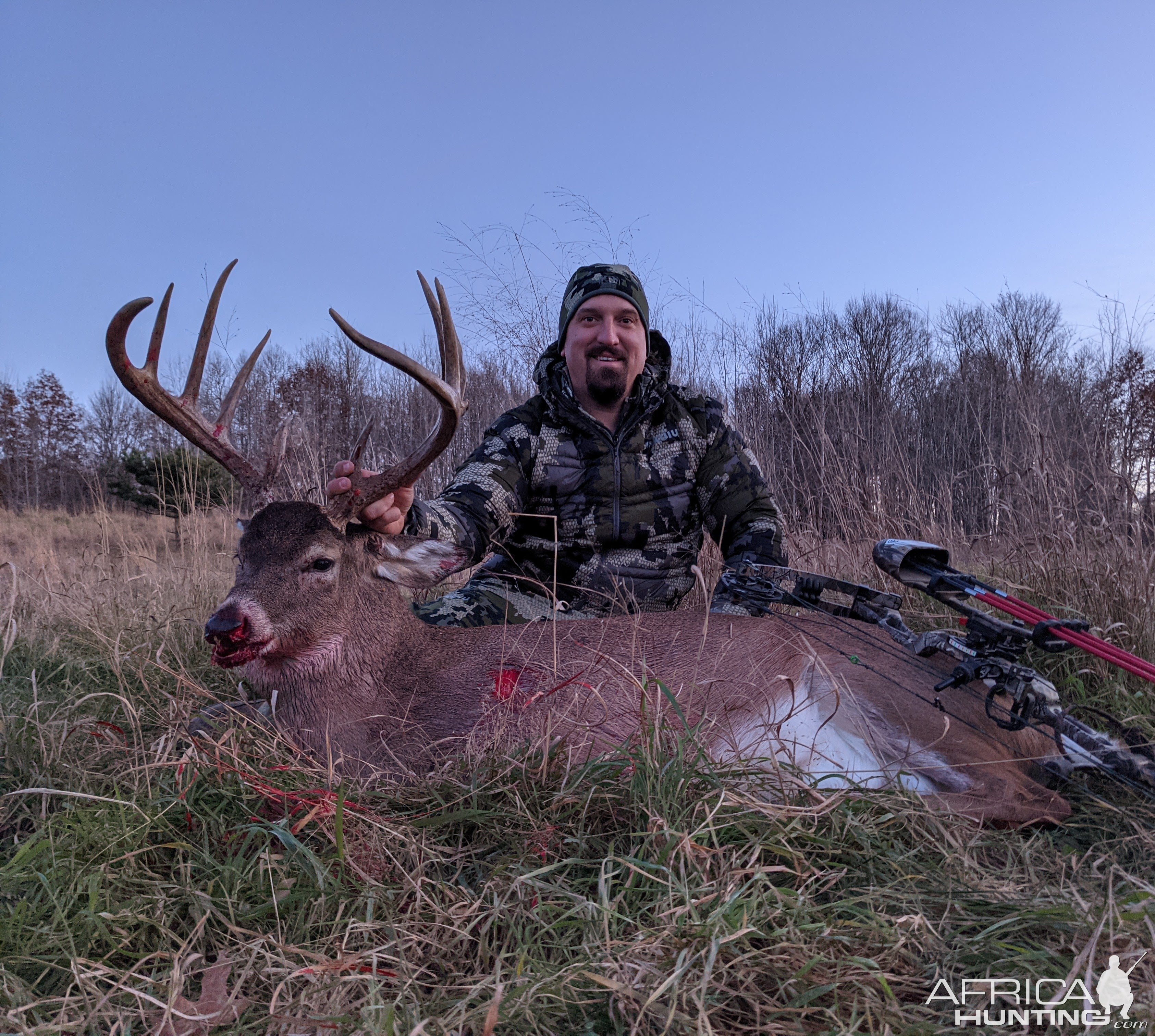 Whitetail Deer Bowhunt Canada