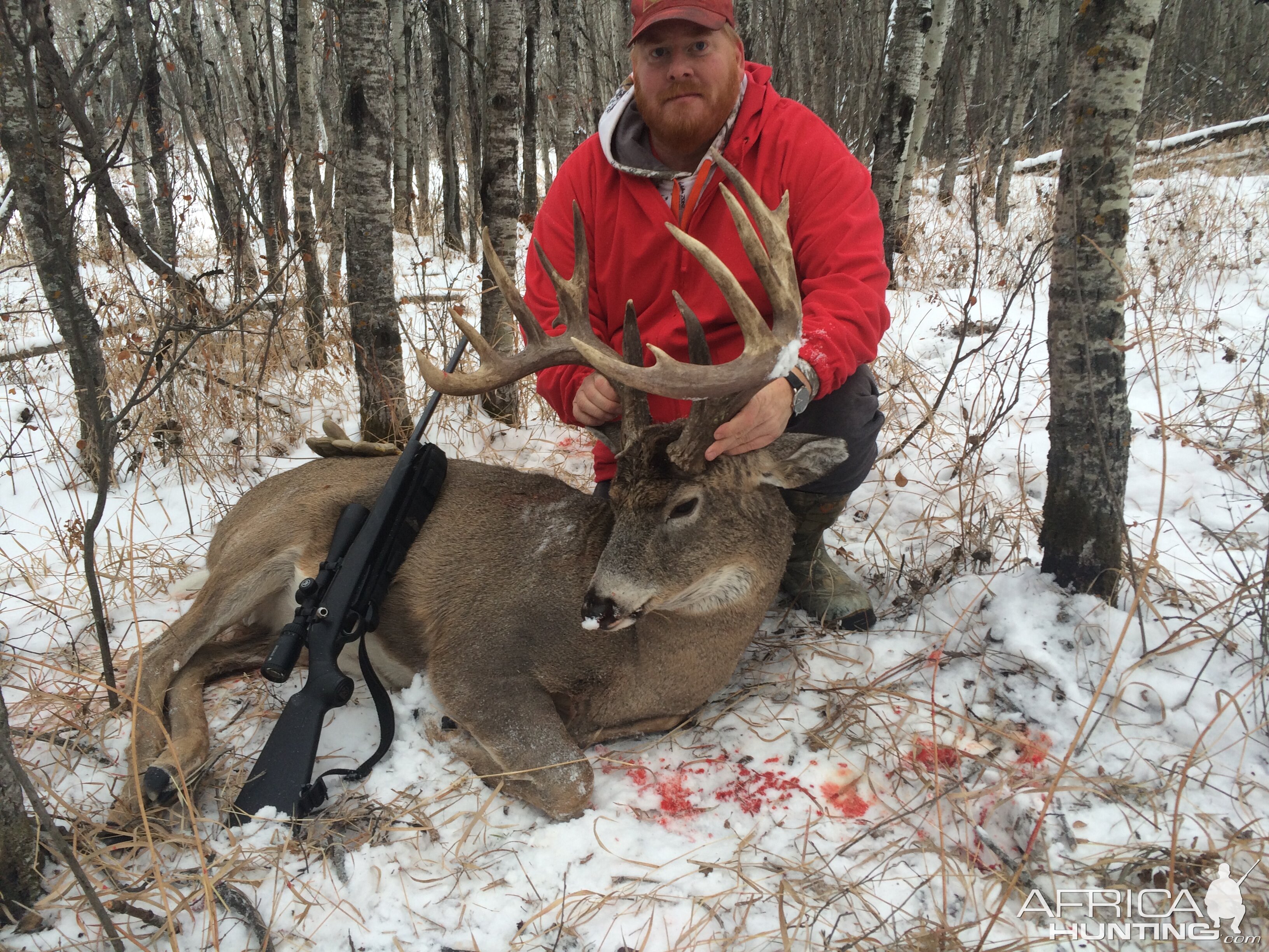 Whitetail Deer Hunt Canada