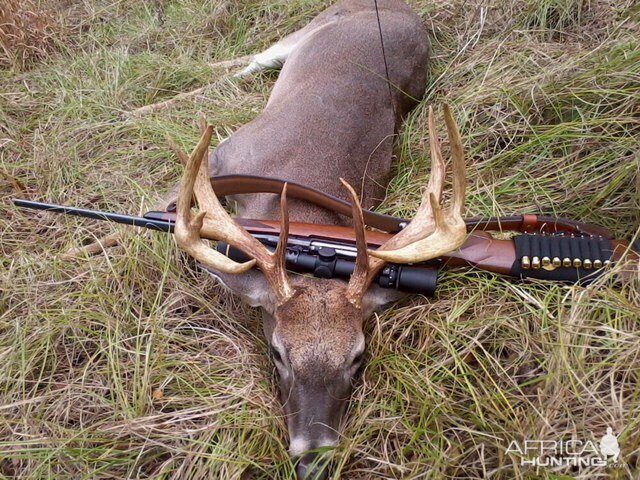 Whitetail Deer Hunt in Texas