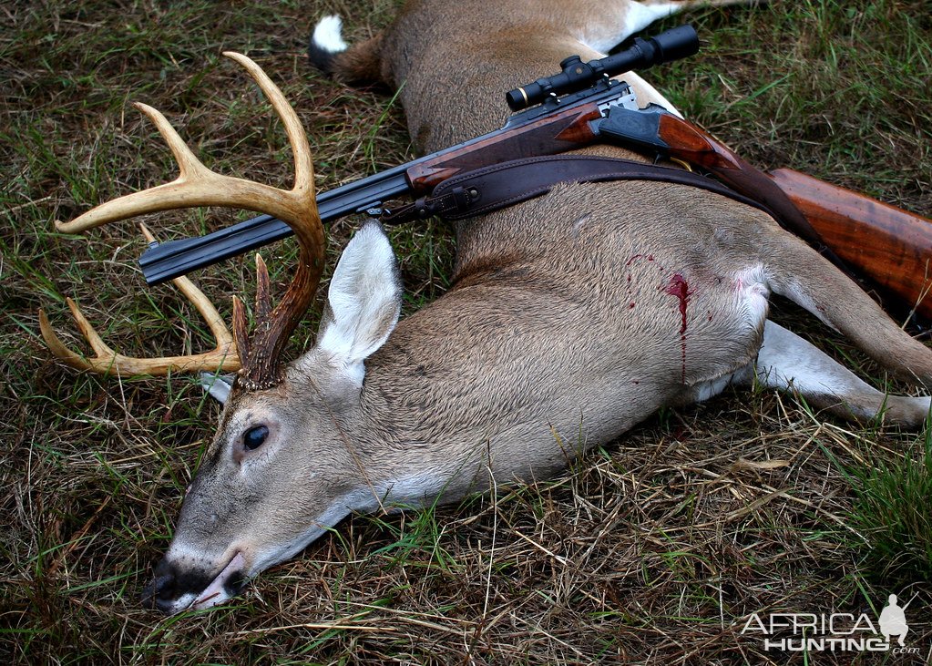 Whitetail Deer Hunting