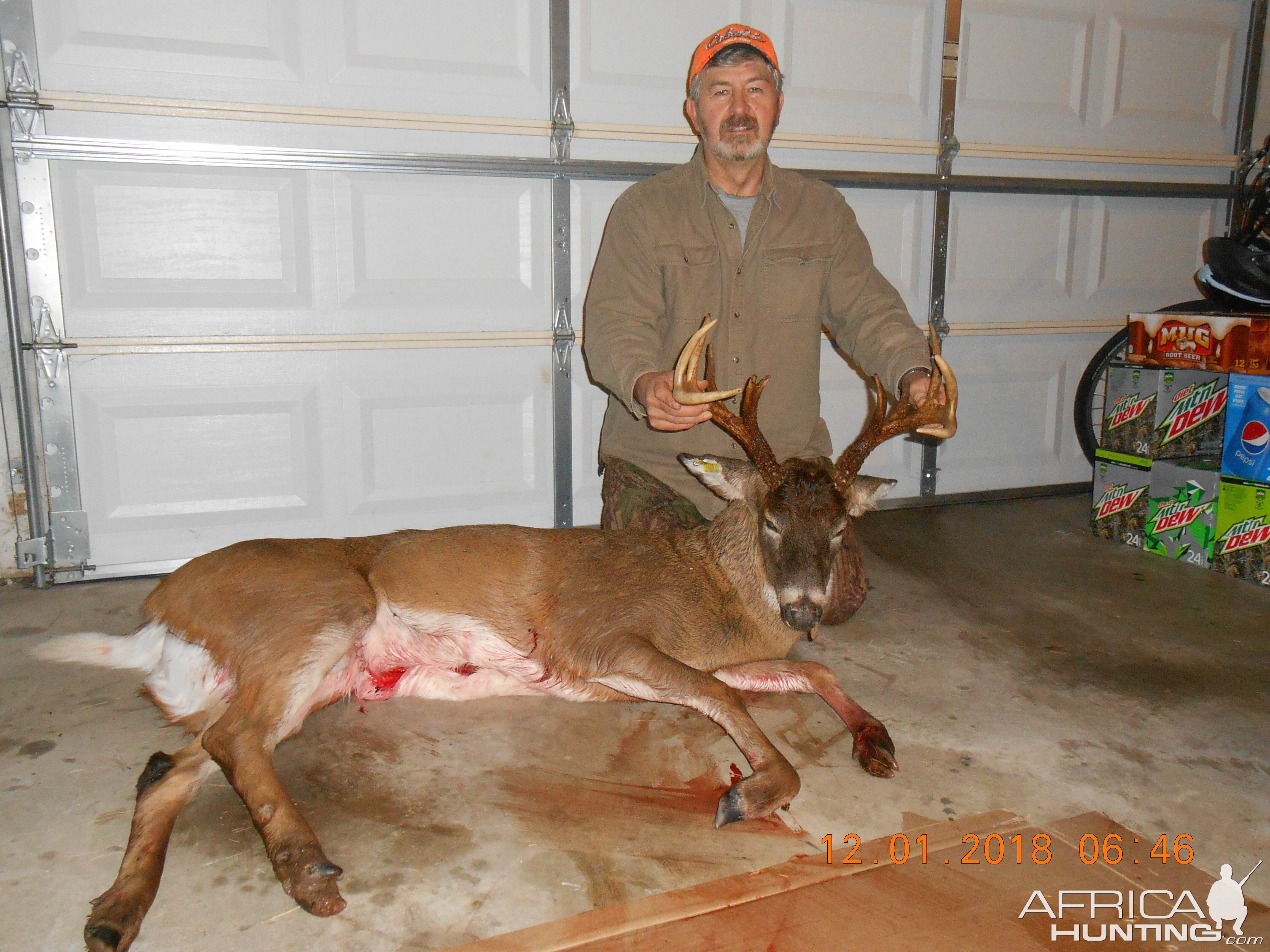 Whitetail Deer Hunting